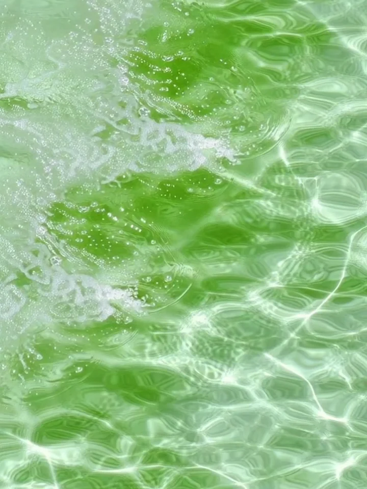 动态壁纸‖清水琉璃