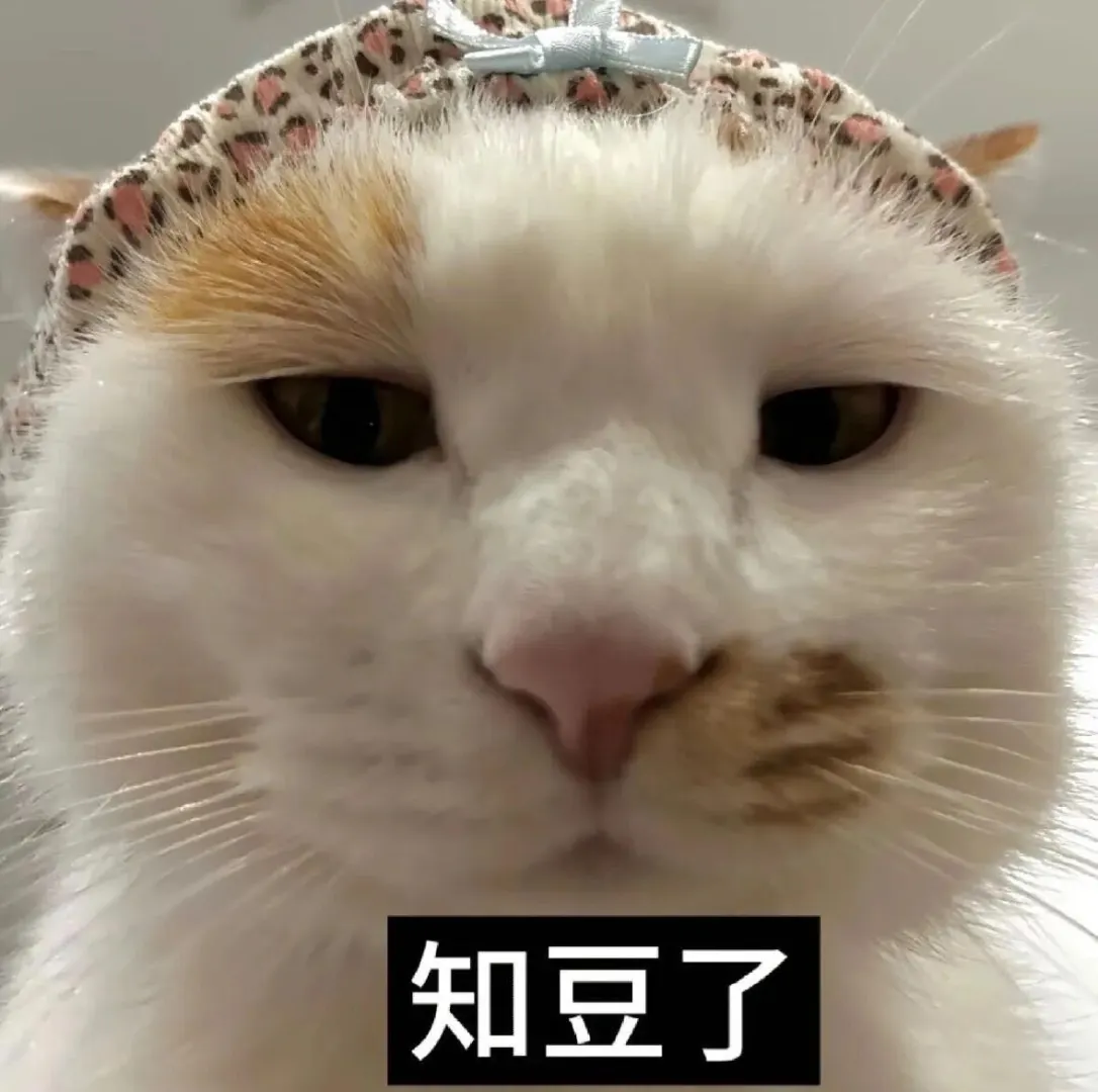 一股河南味的小猫表情包