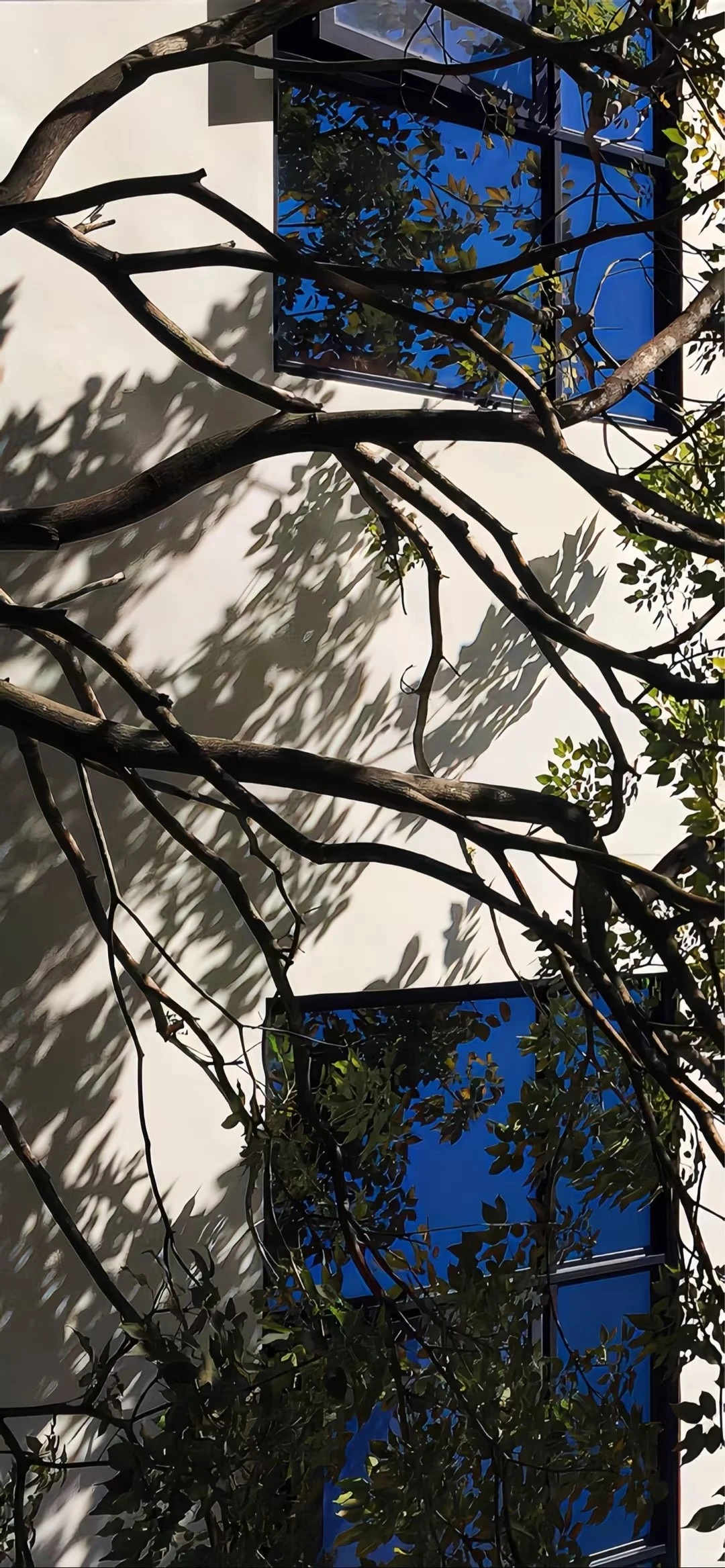 今日壁纸分享🌈ios26氛围感壁纸