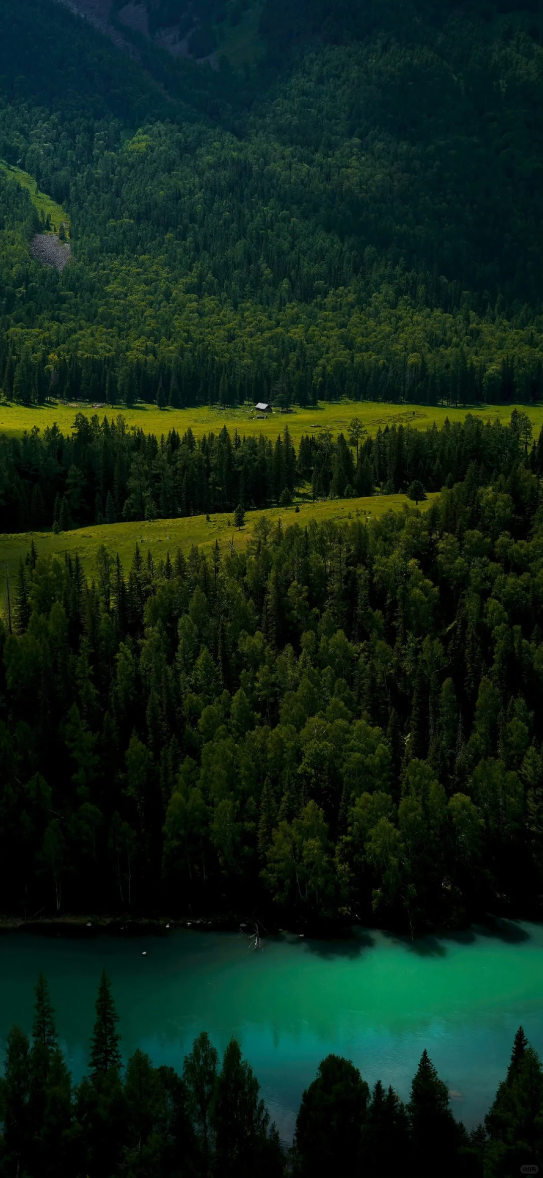 今日壁纸分享，放松一下，看看风景
