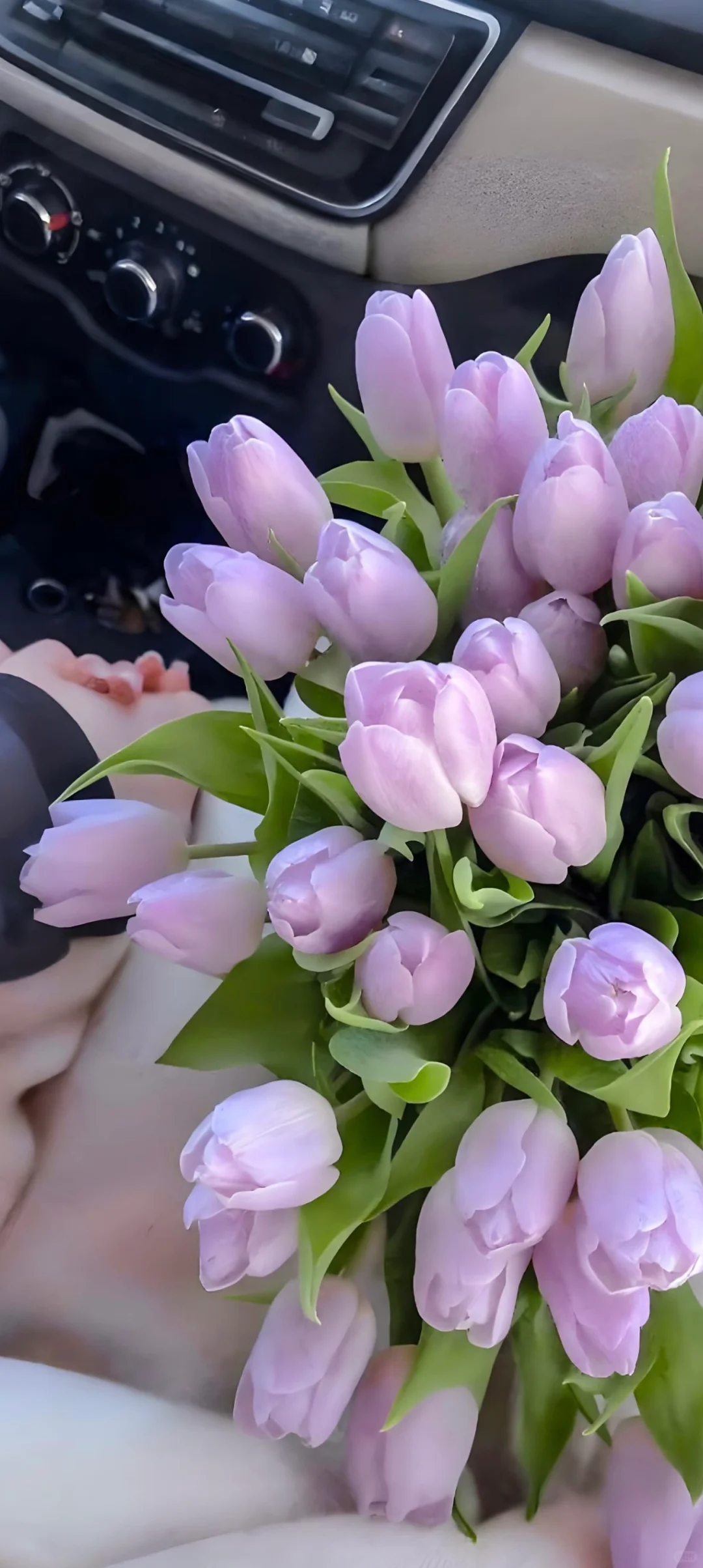 苹果布局绝美壁纸分享！宝们自取！