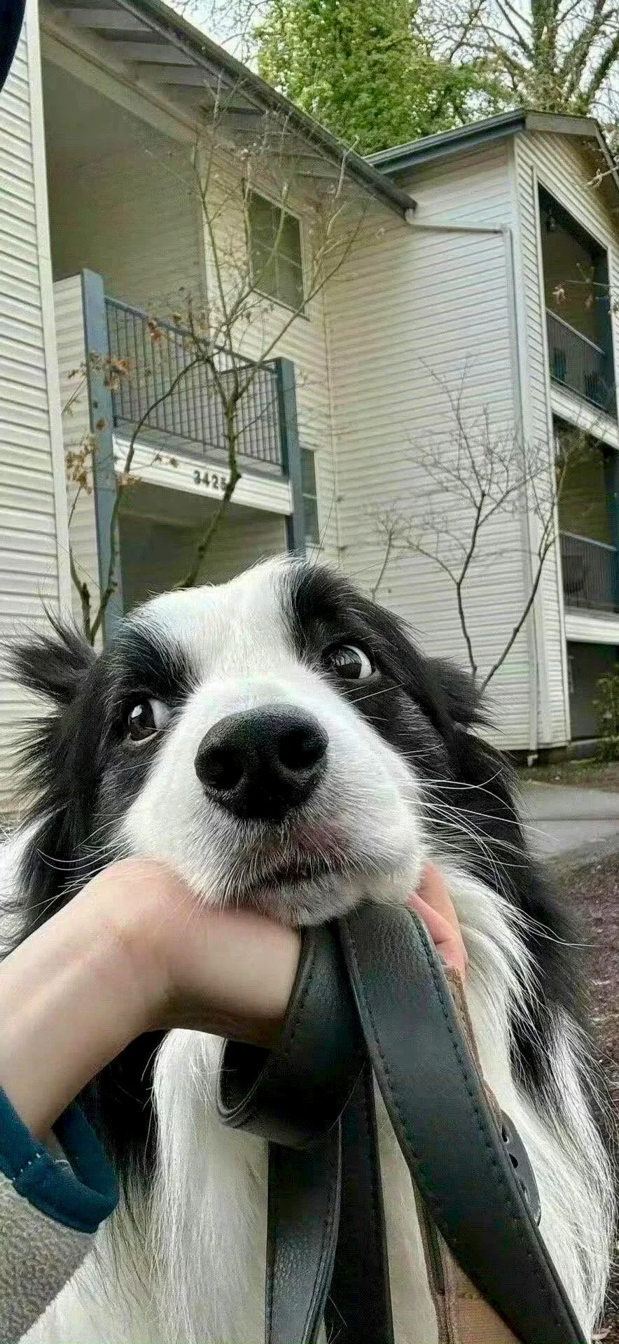 2025年你应该用的手机壁纸！~！