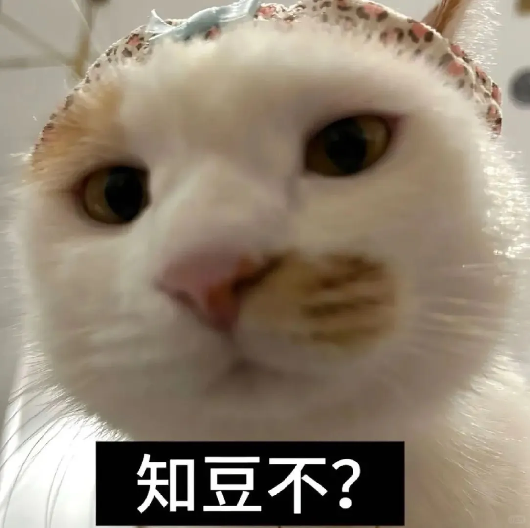 一股河南味的小猫表情包