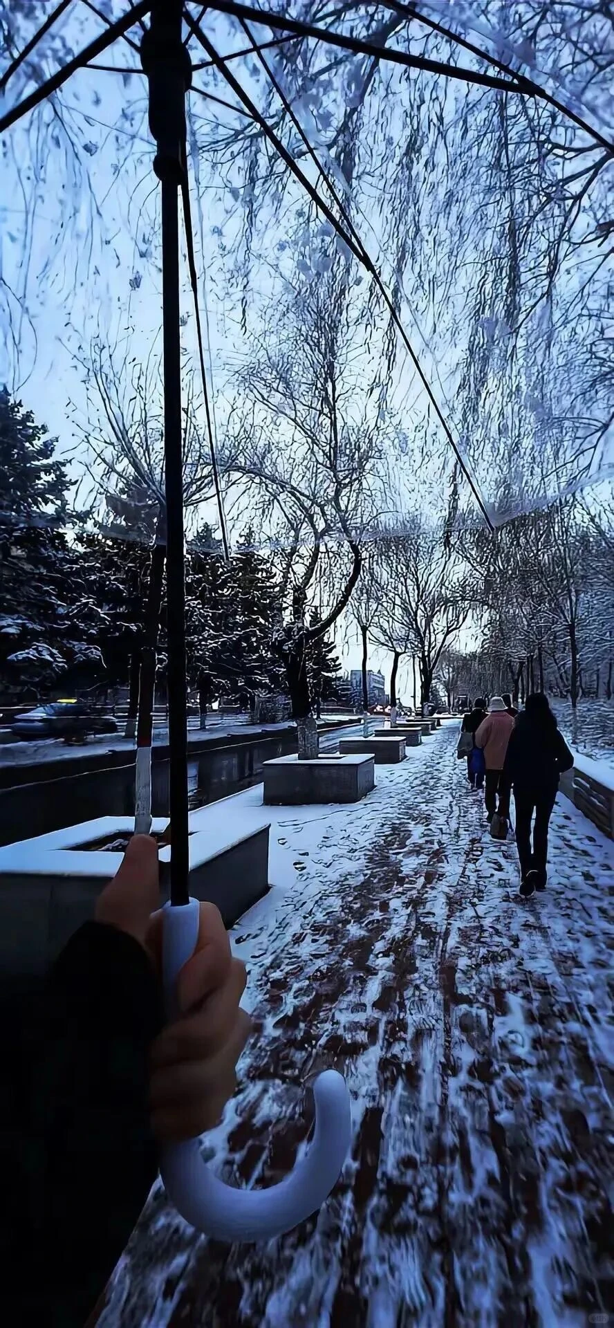 𝑺𝒉𝒂𝒓𝒆｜8K超清全屏壁纸