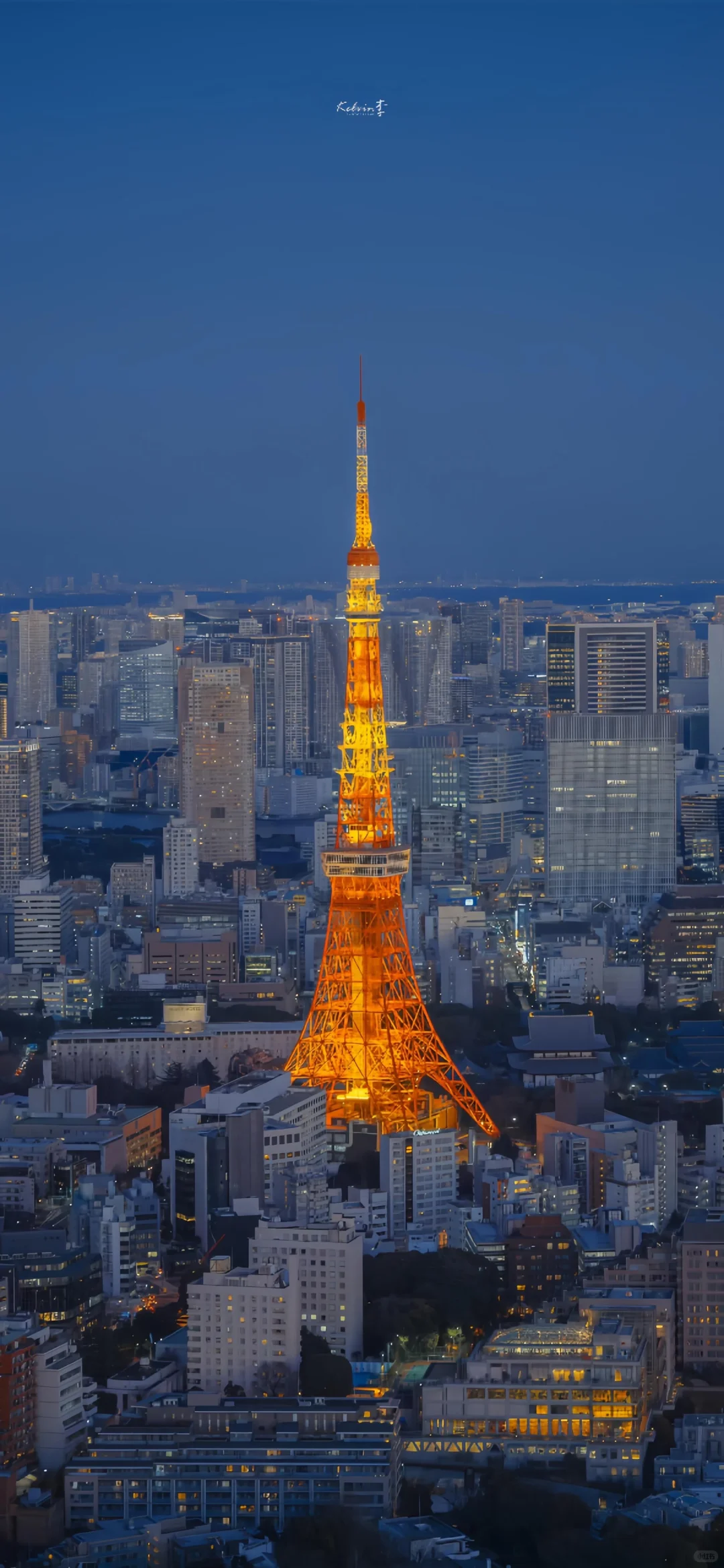 壁纸分享给你们