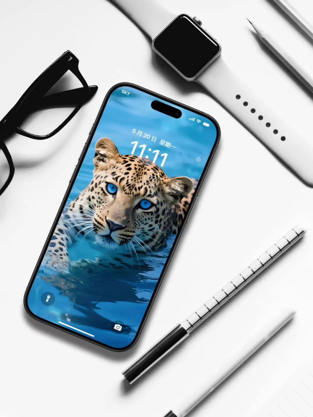 【壁纸分享】蓝眼金钱豹🤩