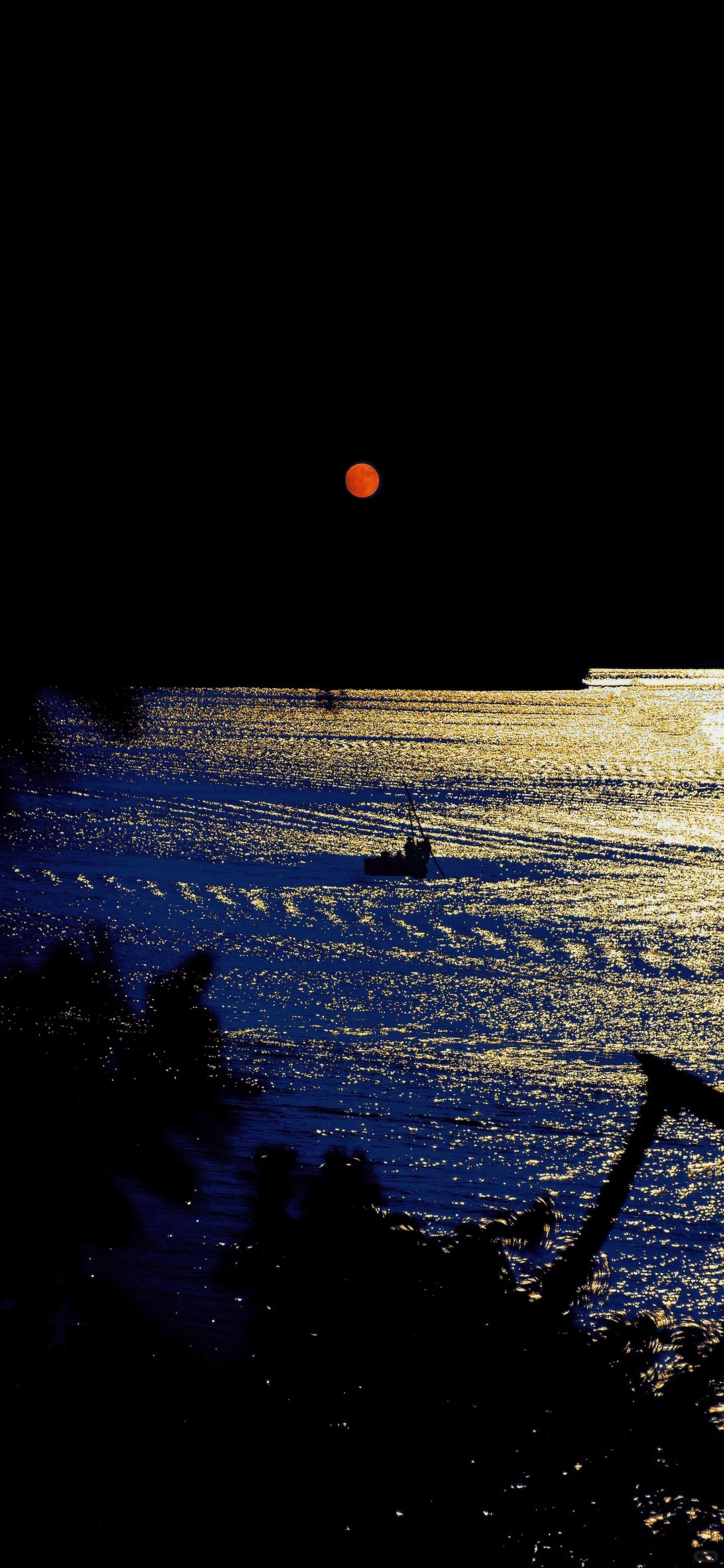 壁纸分享给你们