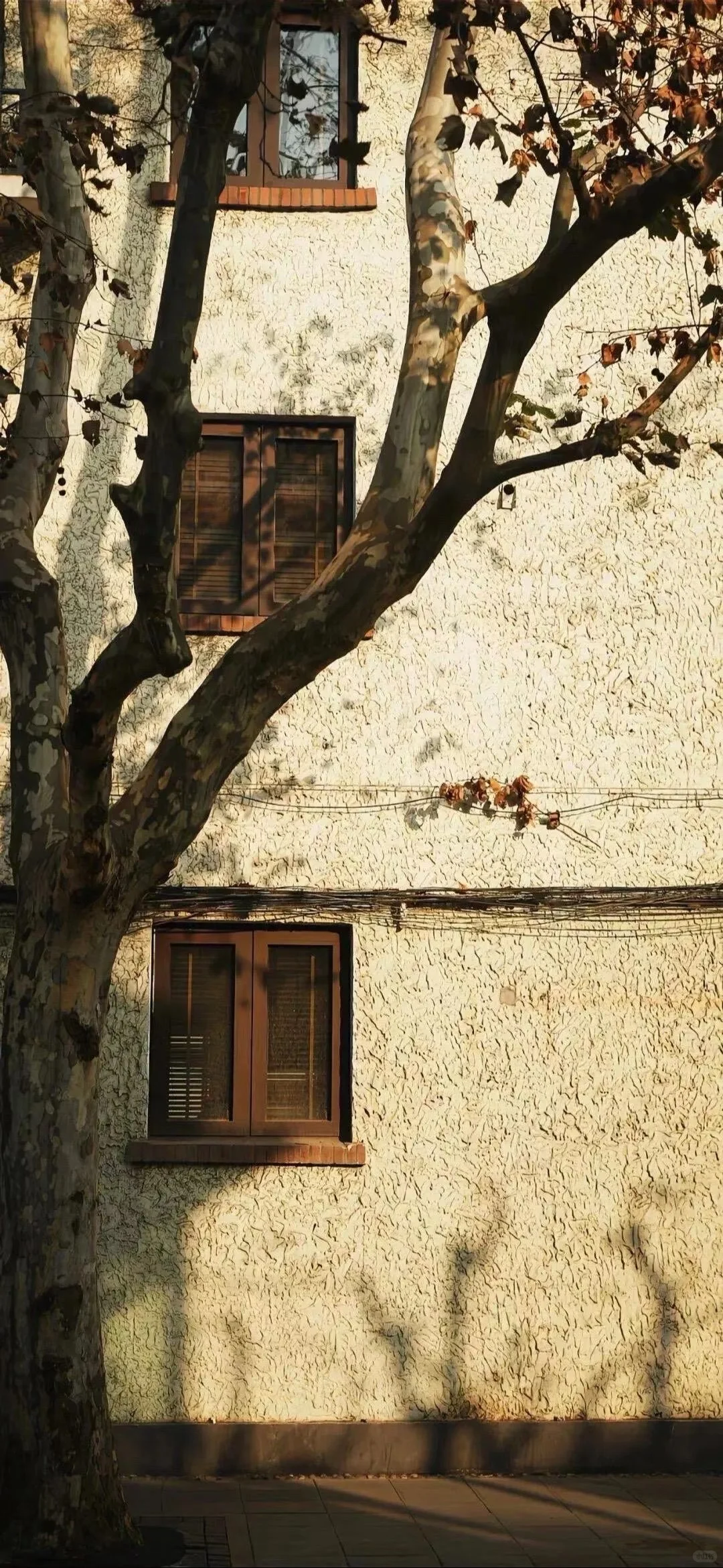 今日壁纸分享🌈ios26氛围感壁纸