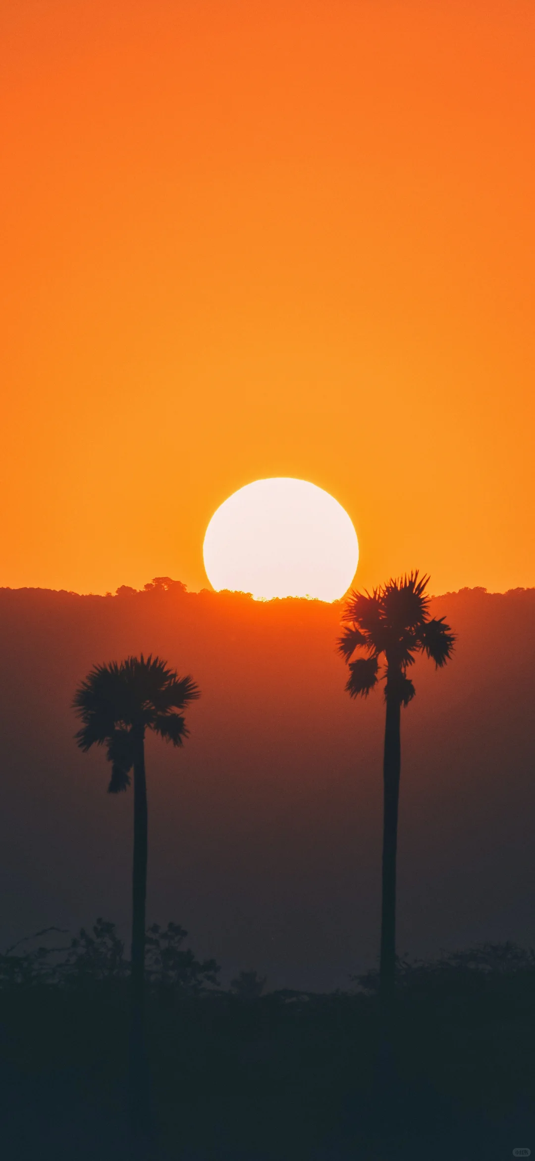 今日壁纸分享，放松一下，看看风景