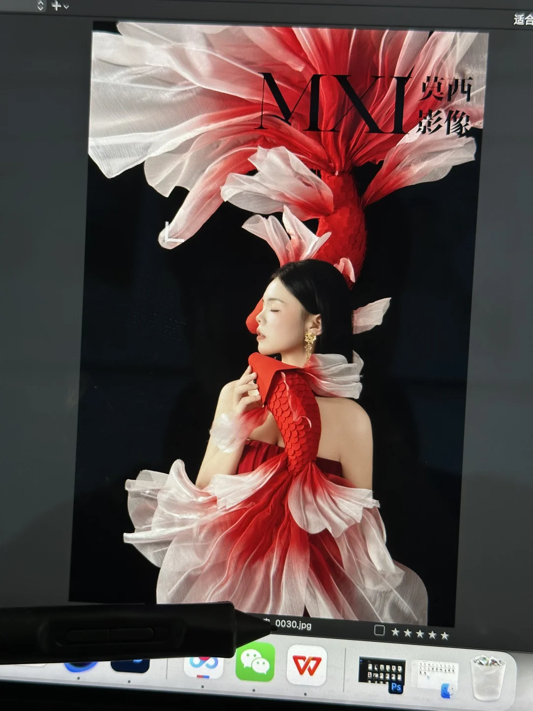 全网爆火的锦鲤