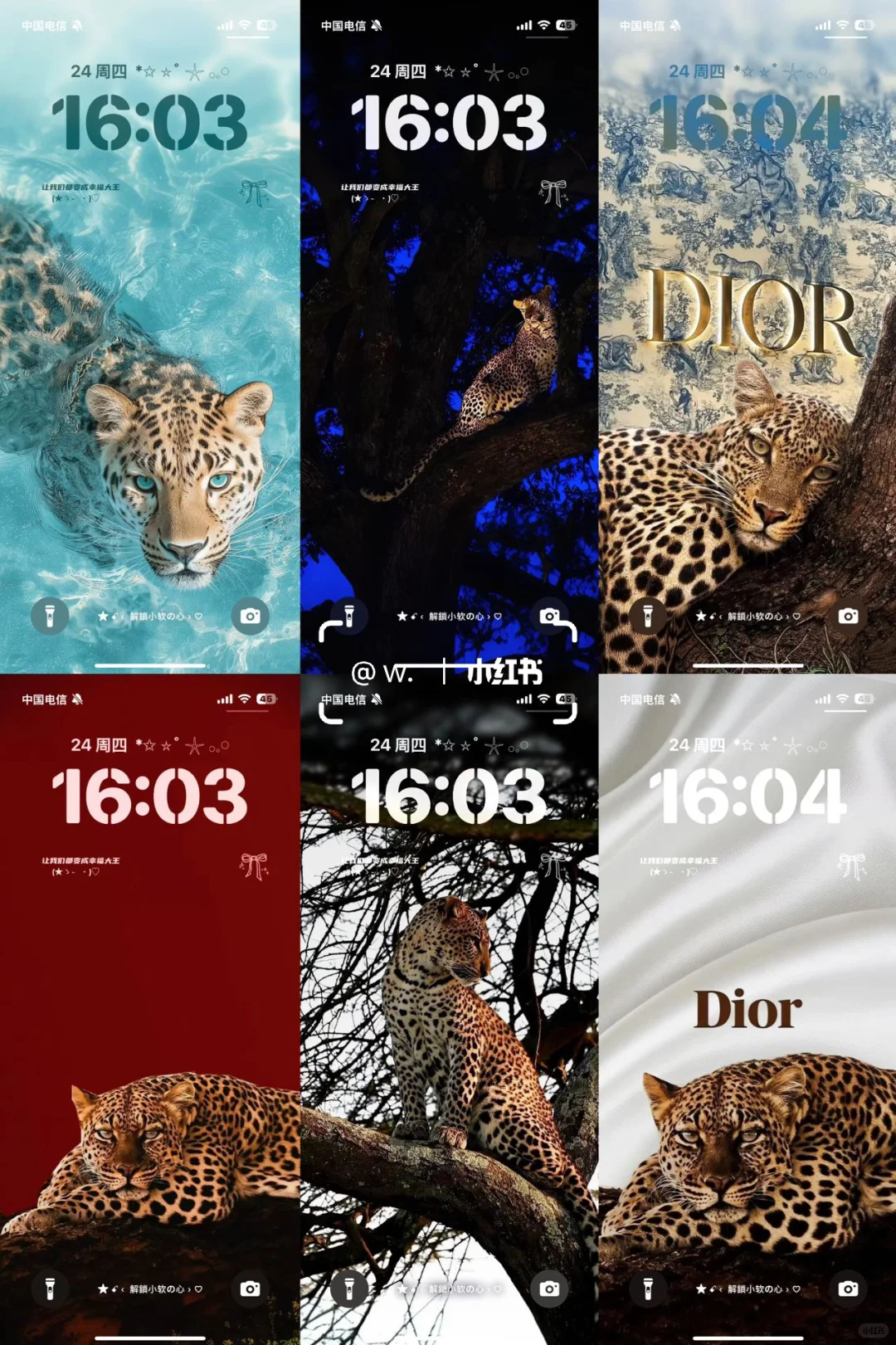 会呼吸的豹子，太帅了！😛