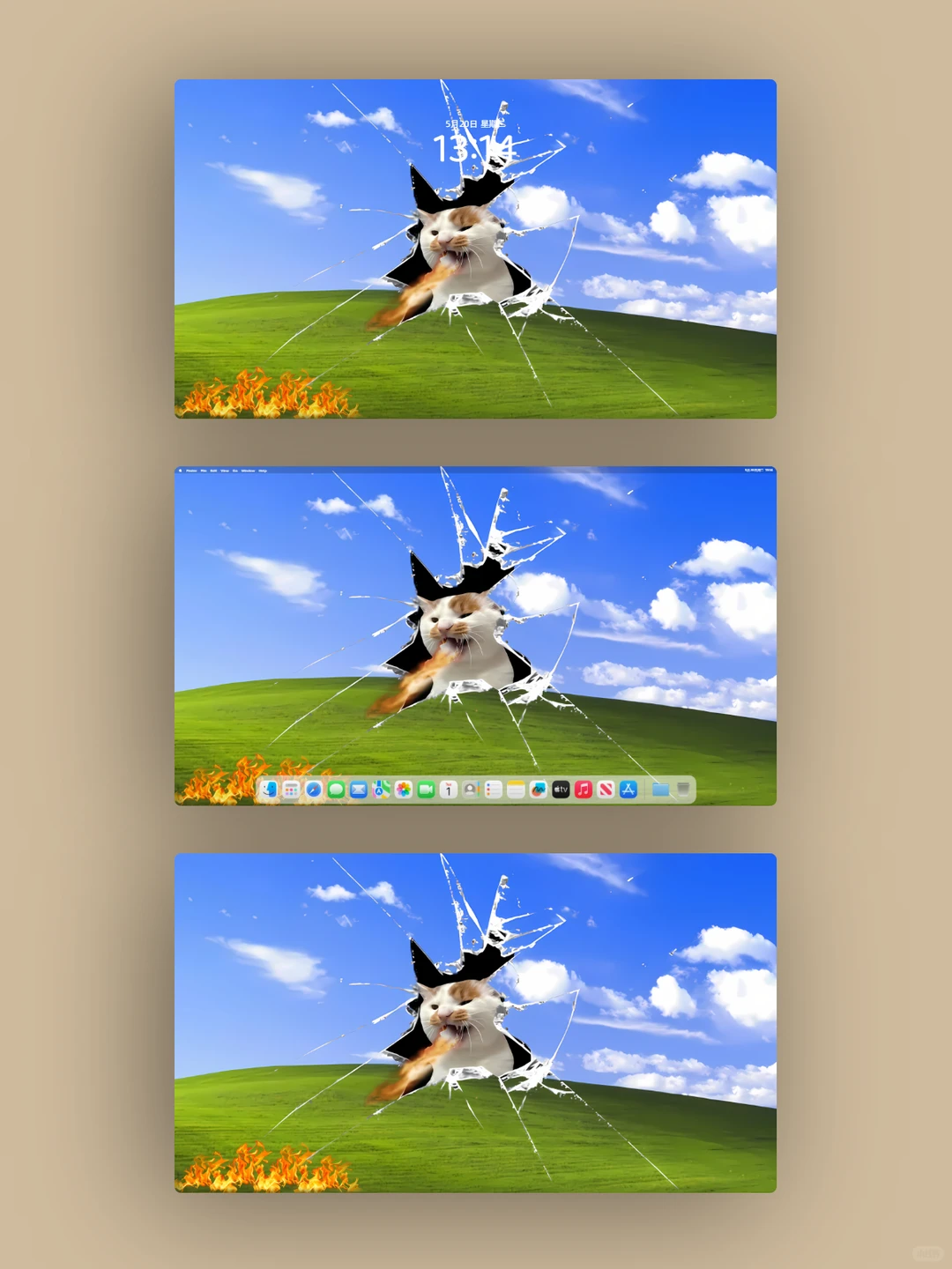 破屏暴躁猫｜电脑平板壁纸太疯