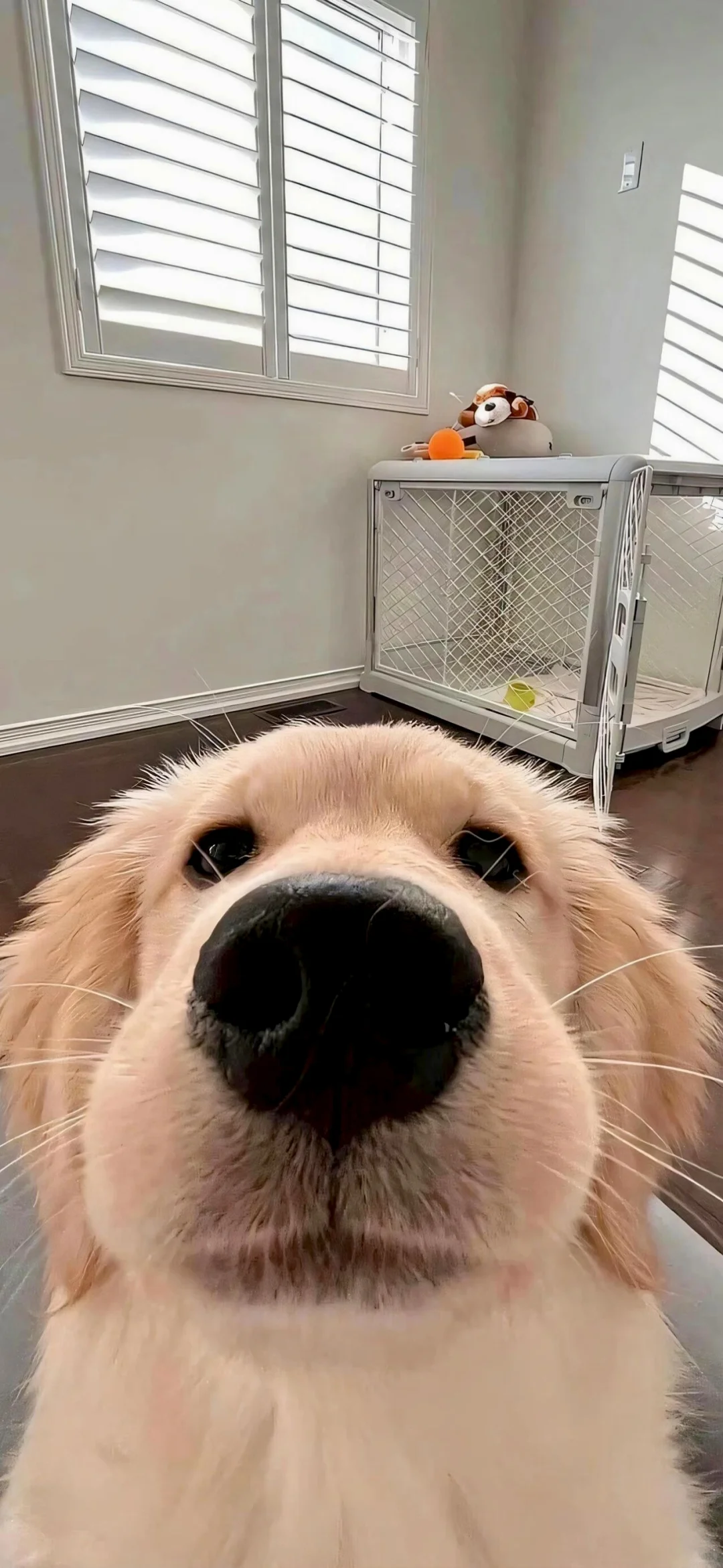 2025年你应该用的手机壁纸！~！