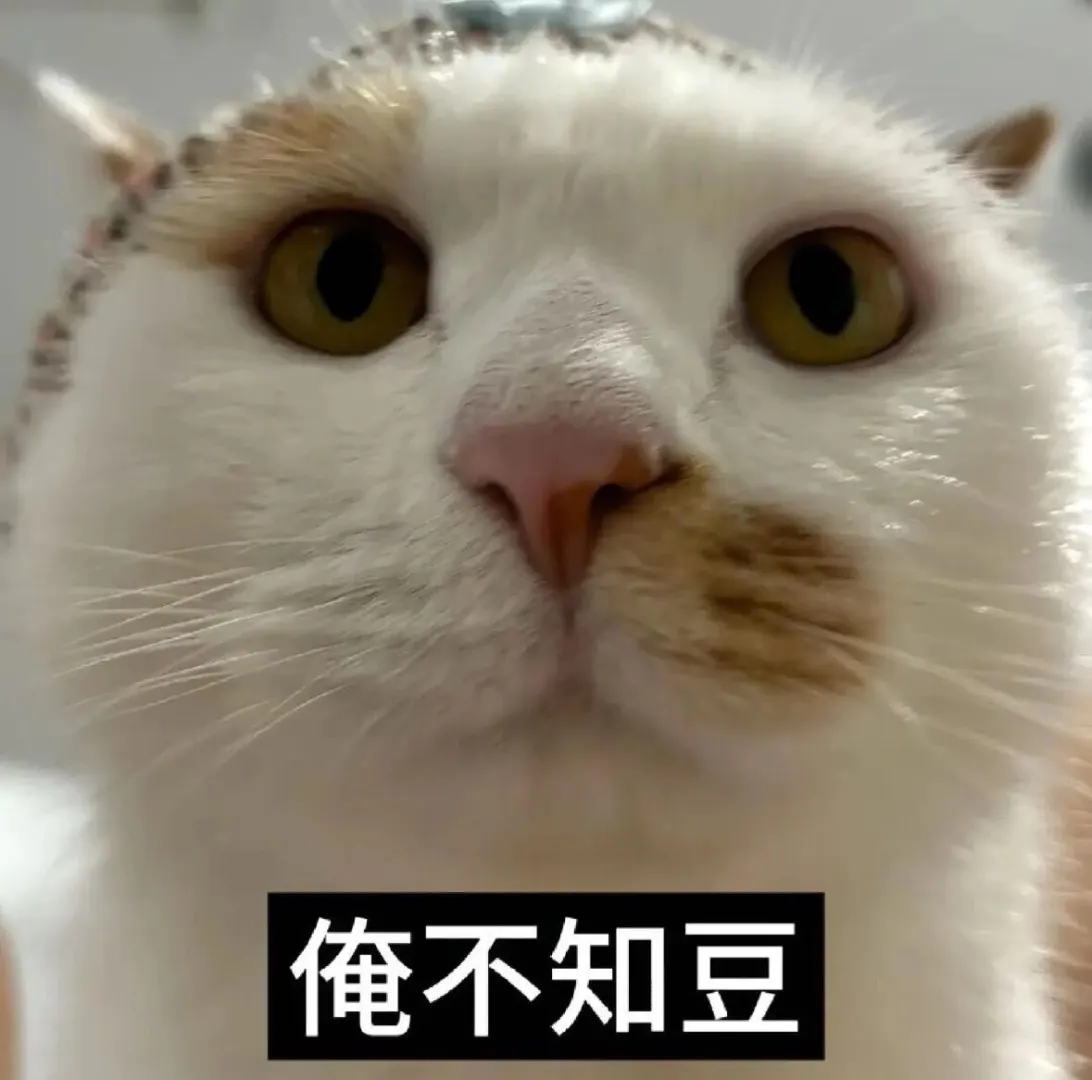 一股河南味的小猫表情包