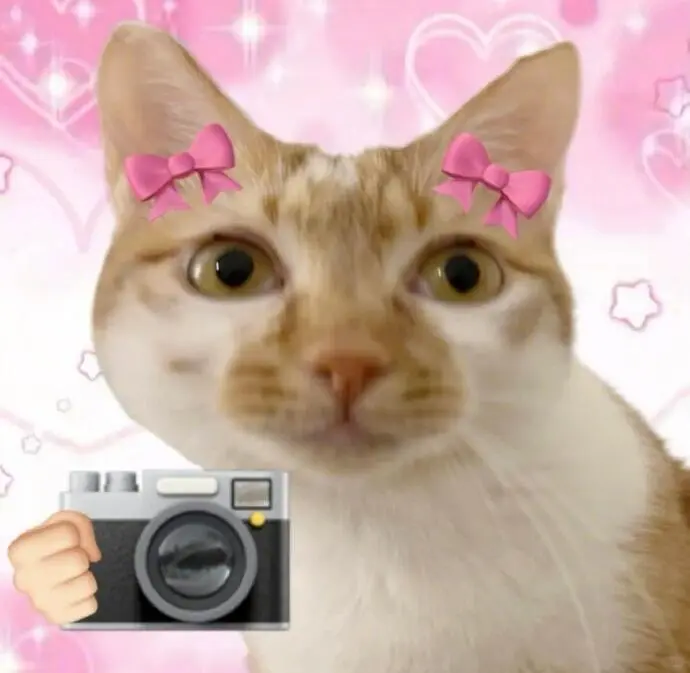 表情包 | 宝见，受你一靠子