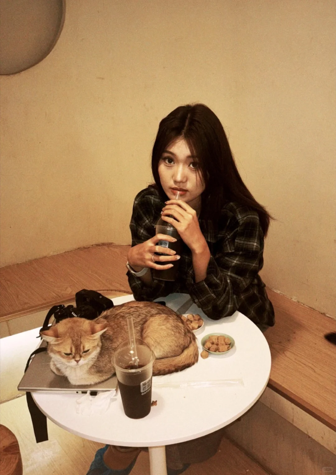 邯郸互勉！邯郸模特进