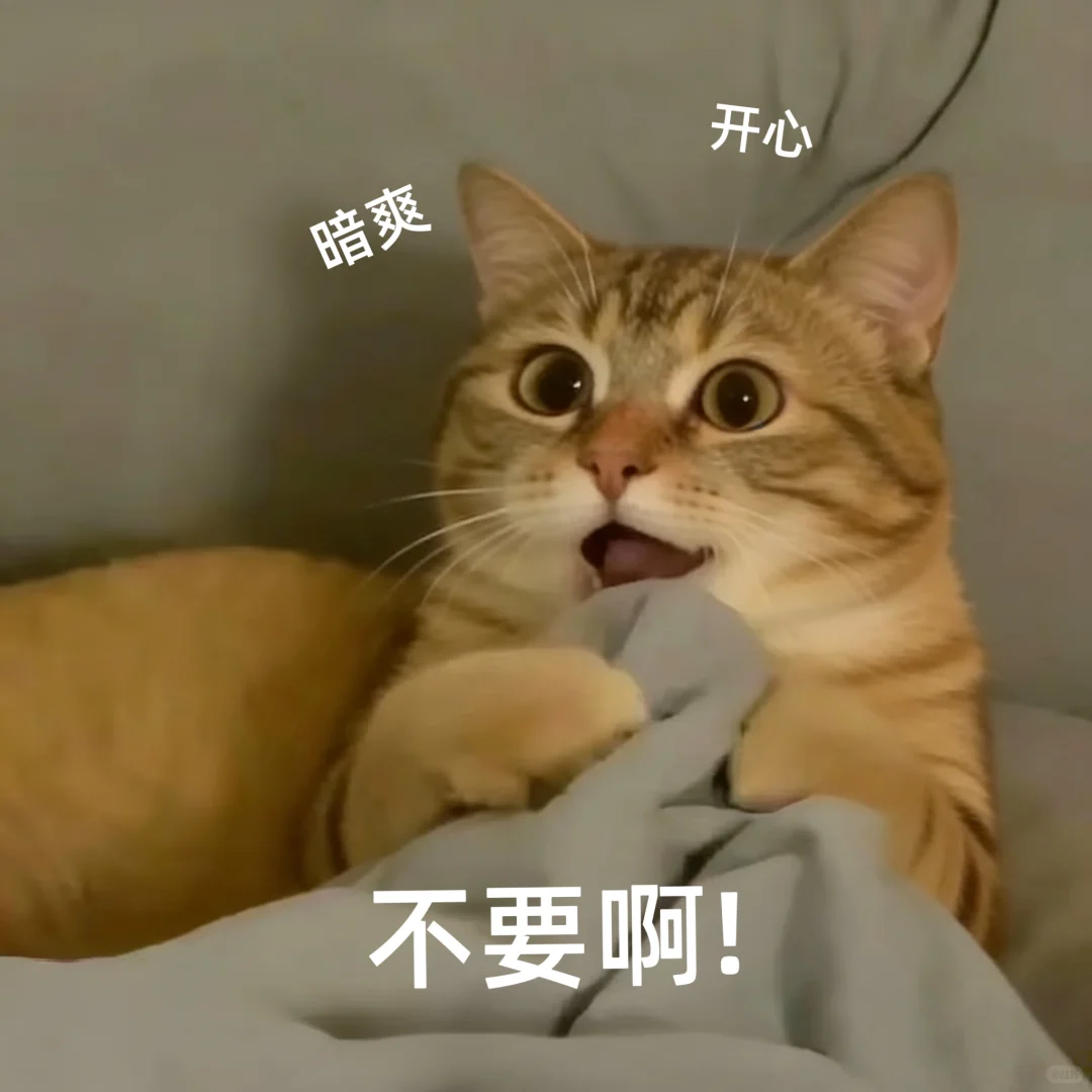 欲情故纵表情包