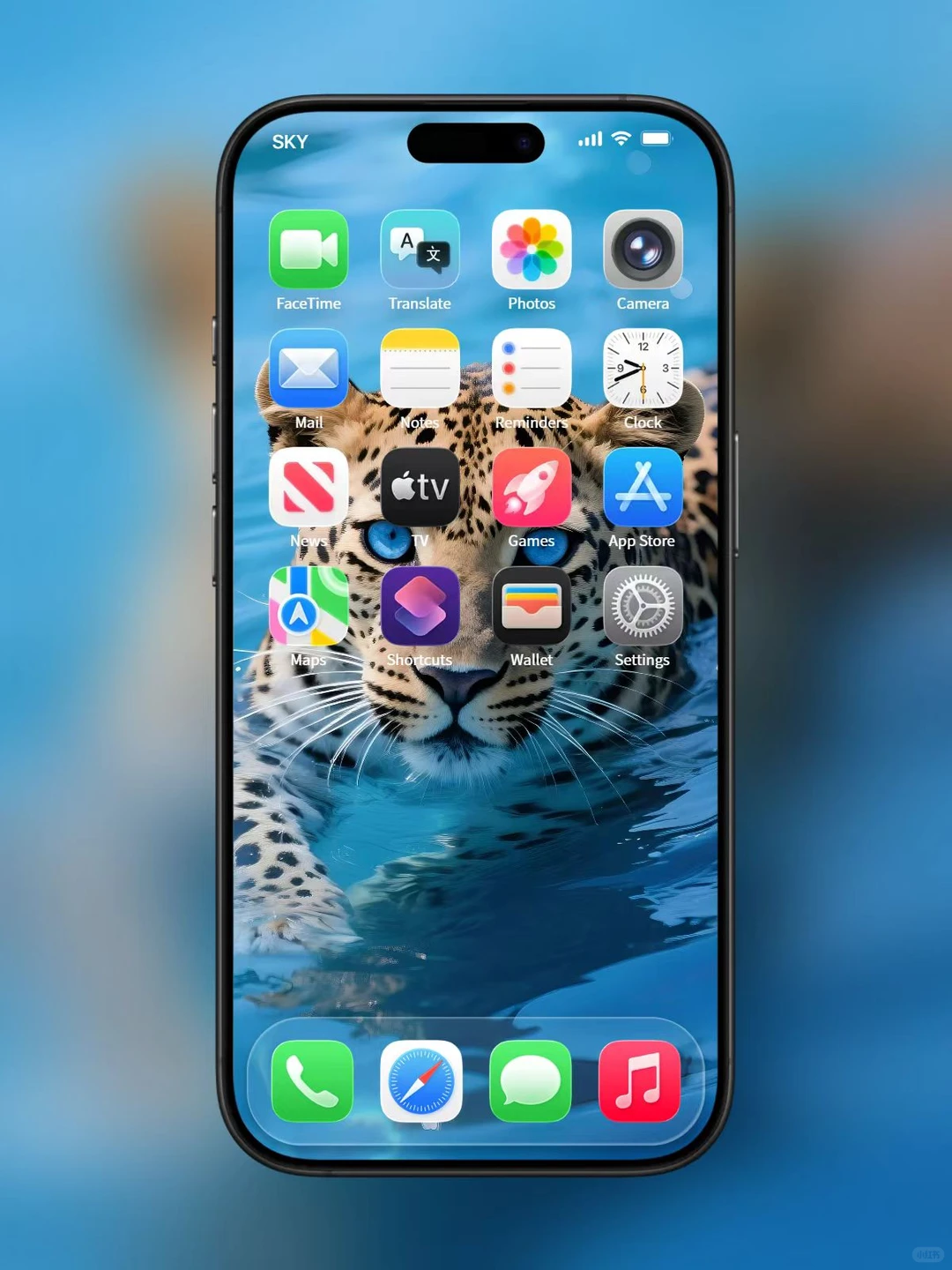 【壁纸分享】蓝眼金钱豹🤩