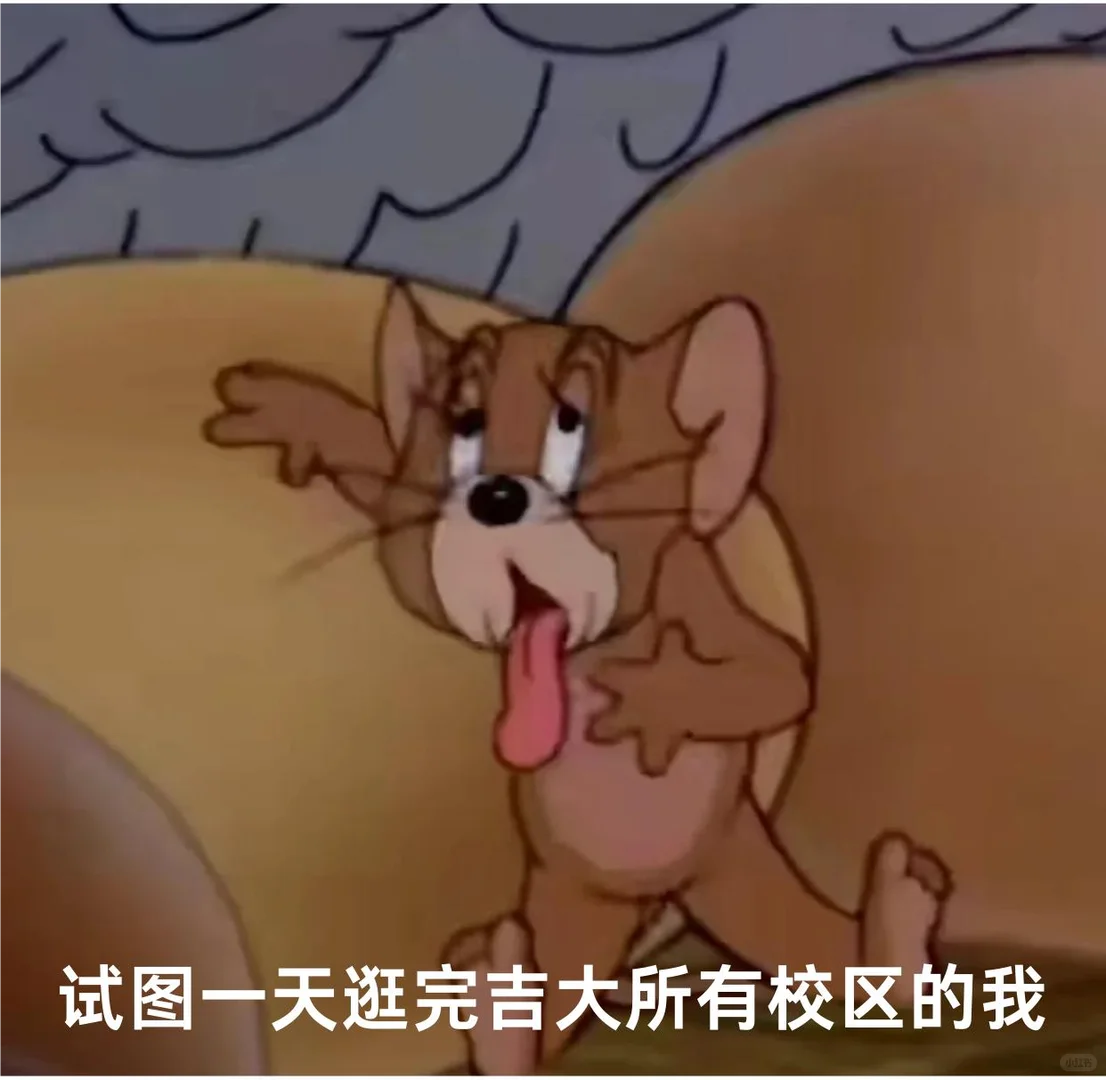 吉大人速进！欣赏它就为它做表情包吧