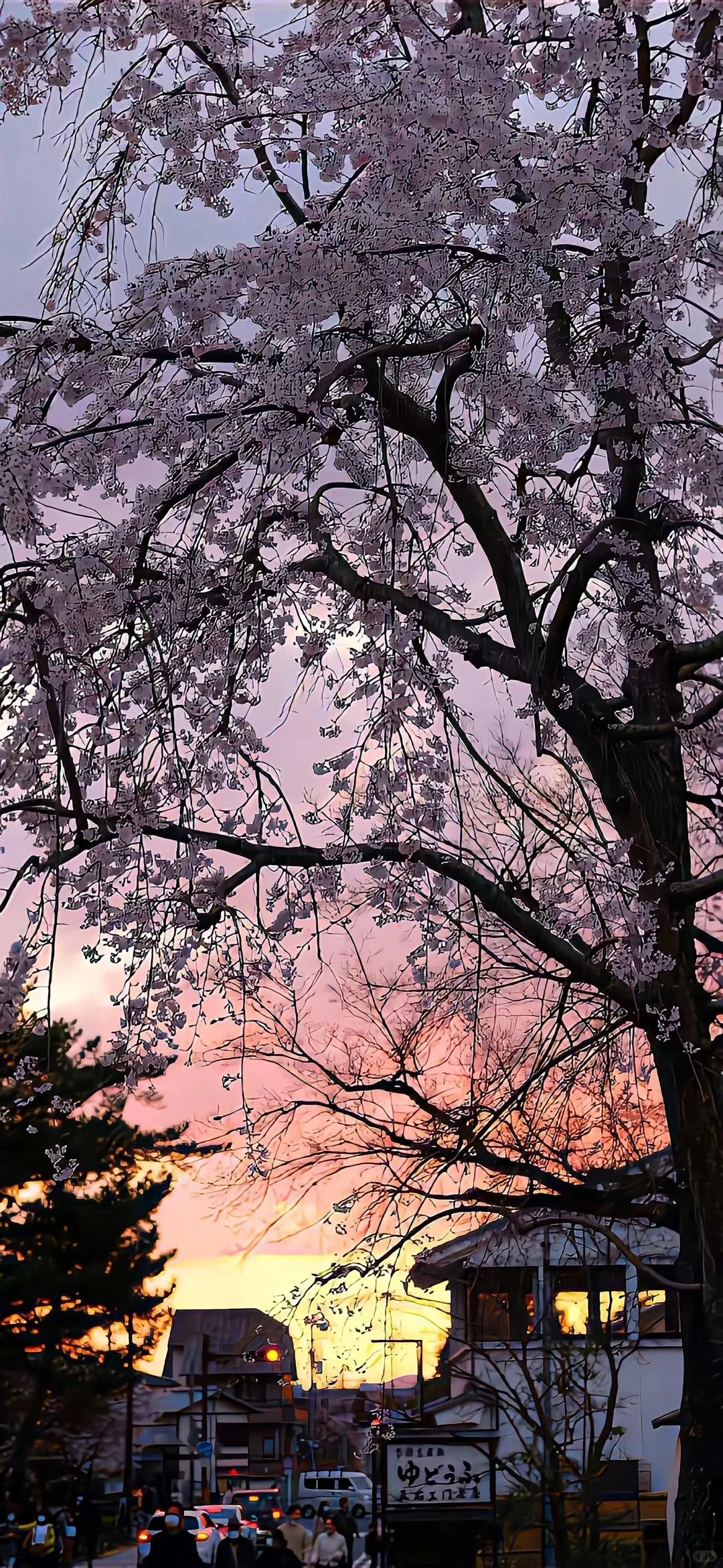 今日壁纸分享🌈ios26氛围感壁纸