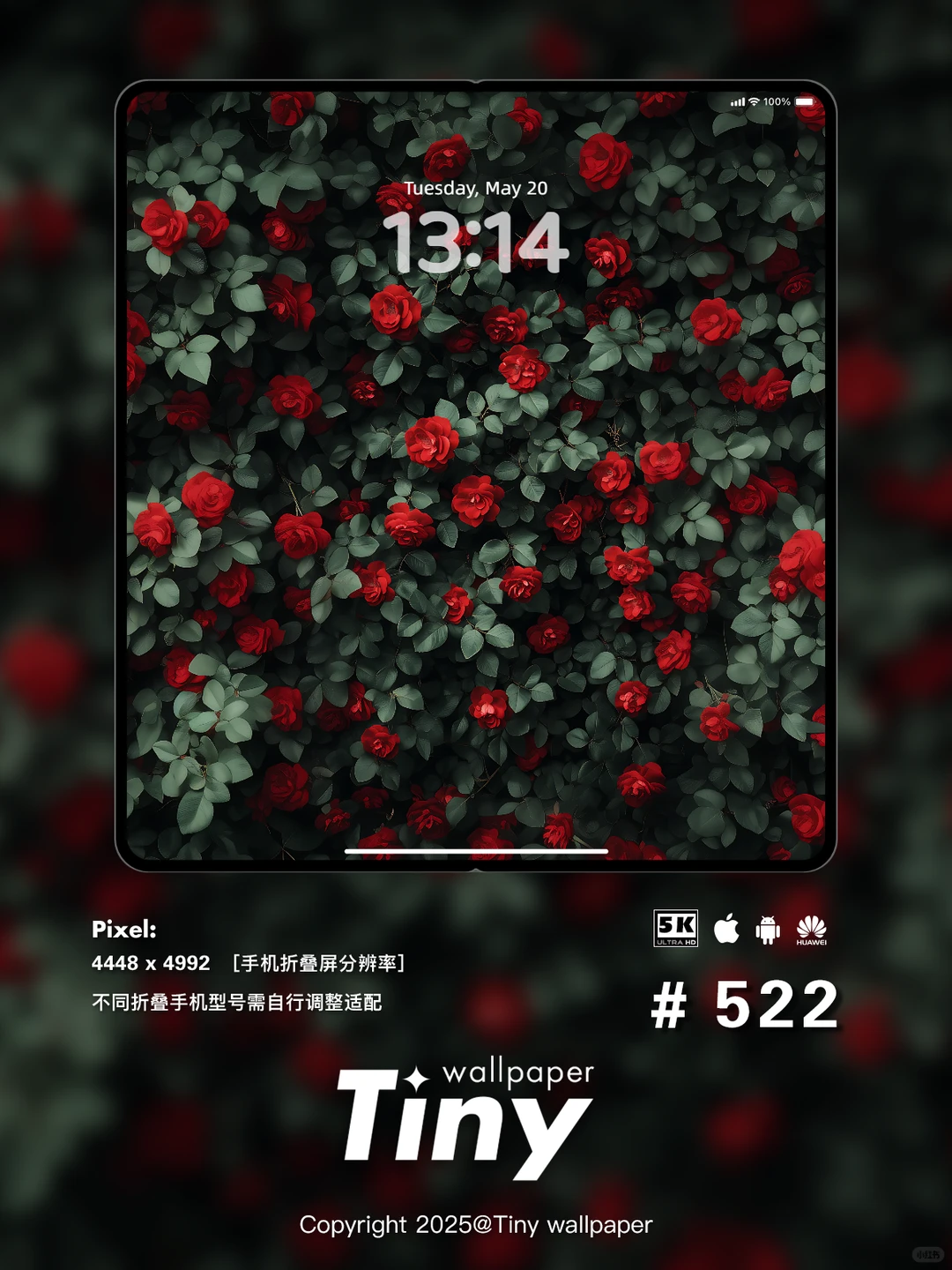 绿叶红花 壁纸4端丨高级感花朵壁纸