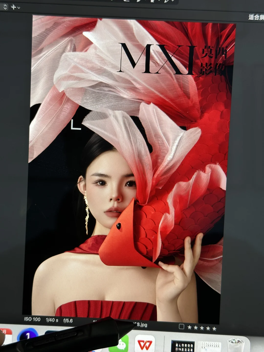 全网爆火的锦鲤