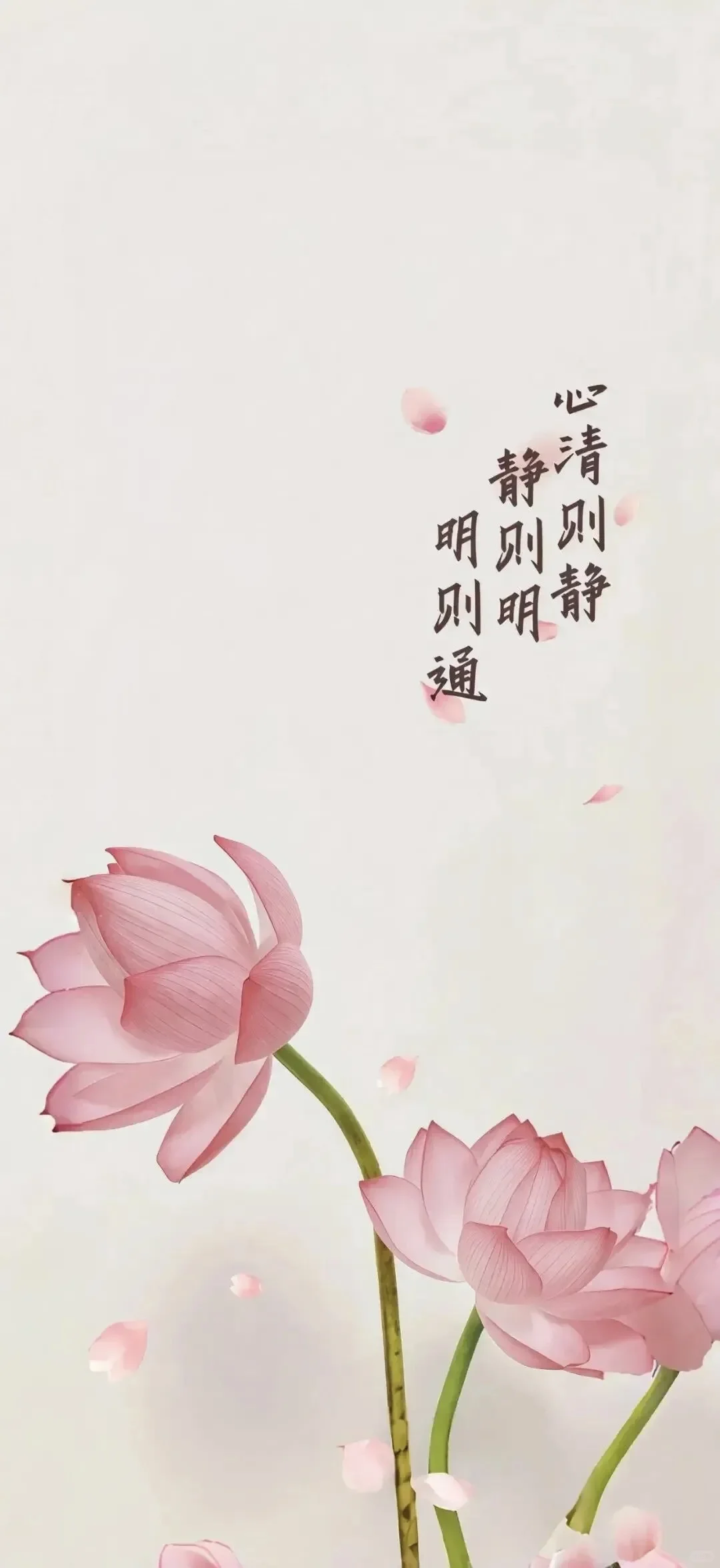 见者好运，招财壁纸系列