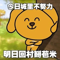 大笨狗表情包热门分享抽象斗图搞笑合集聊天