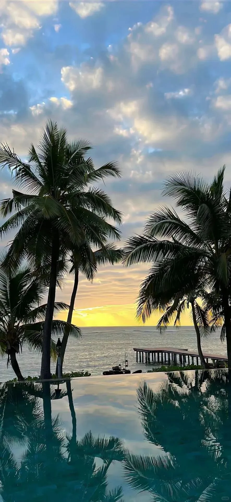 𝑺𝒉𝒂𝒓𝒆｜8K超清全屏壁纸