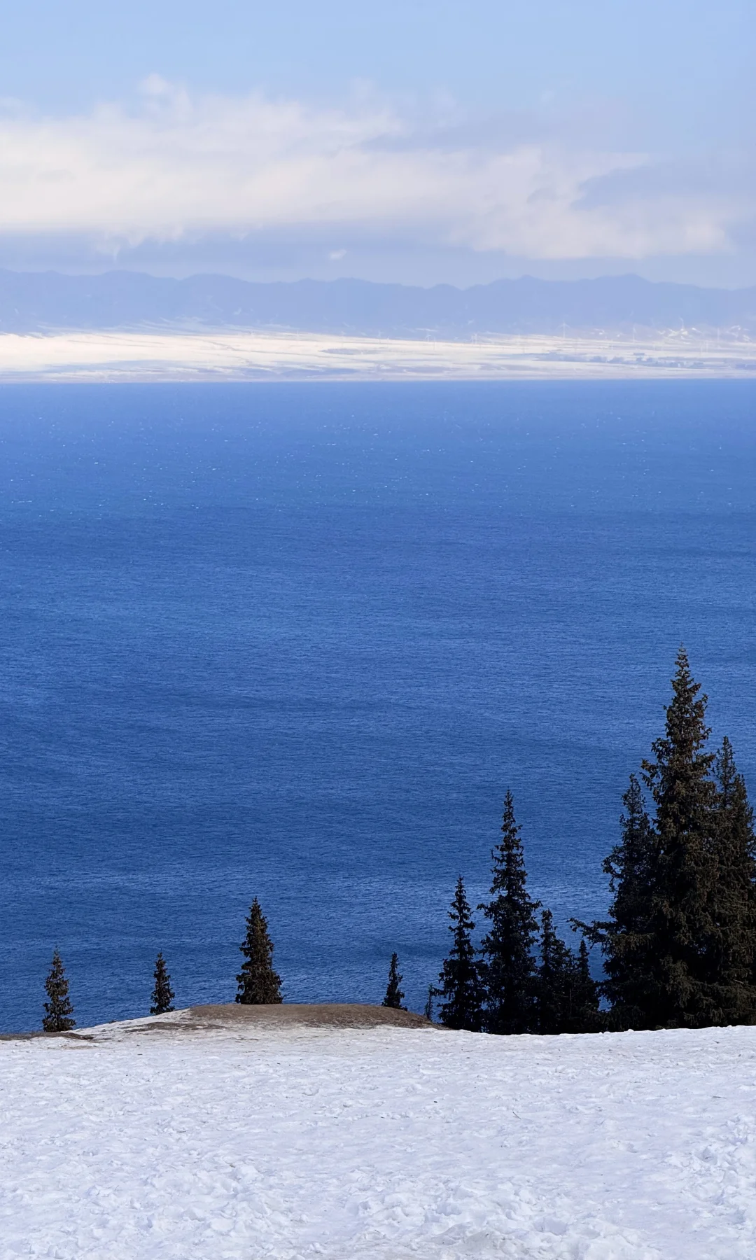 全屏live❄️live in winter