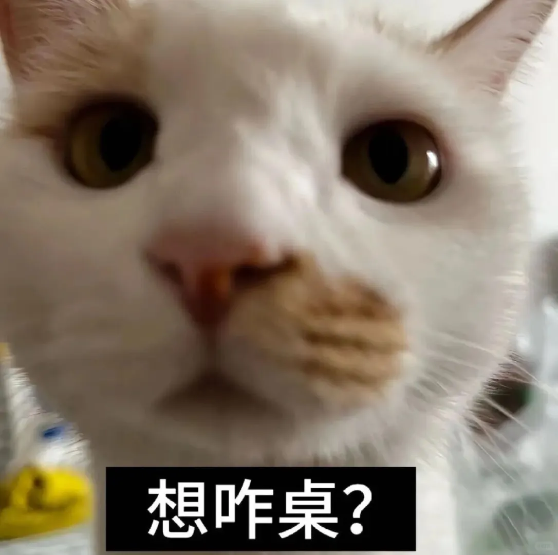 一股河南味的小猫表情包
