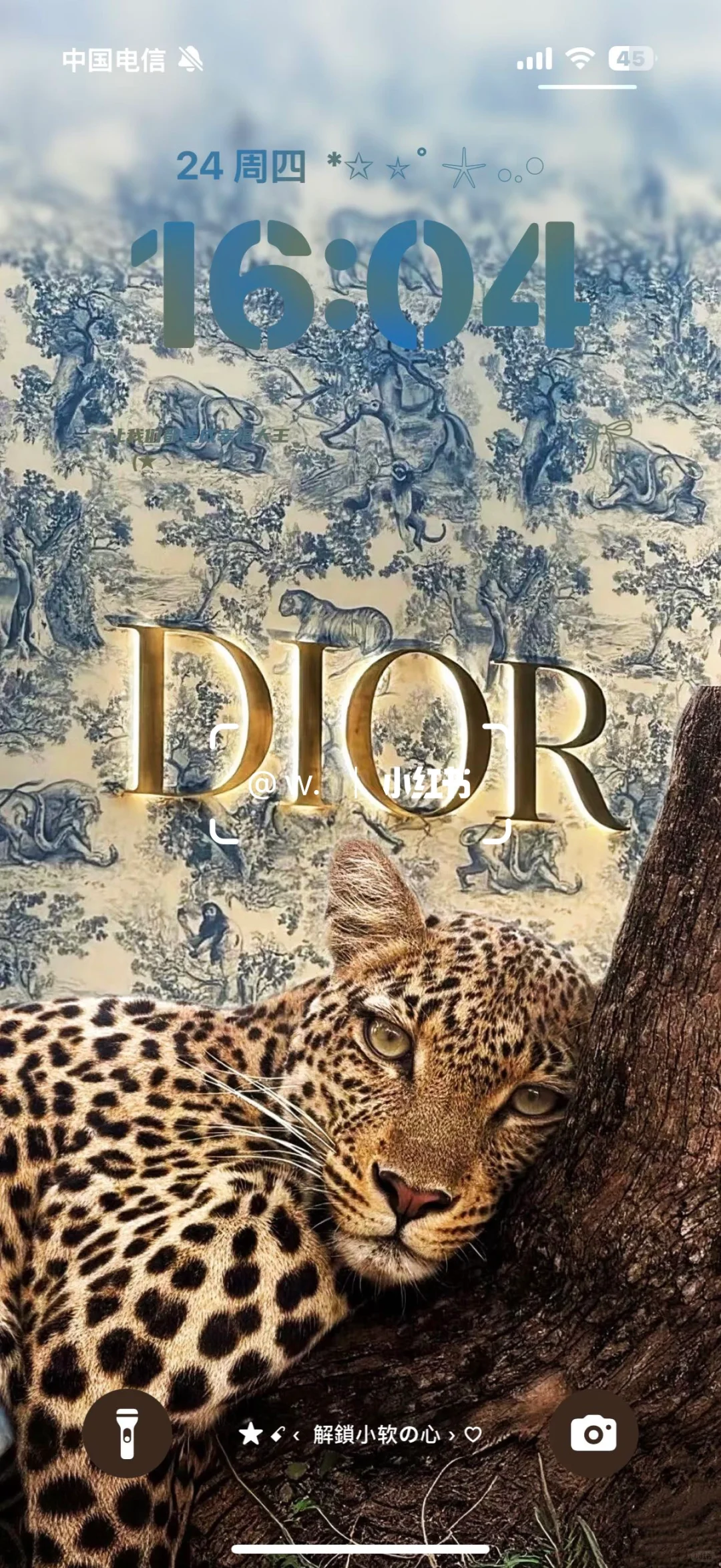 会呼吸的豹子，太帅了！😛