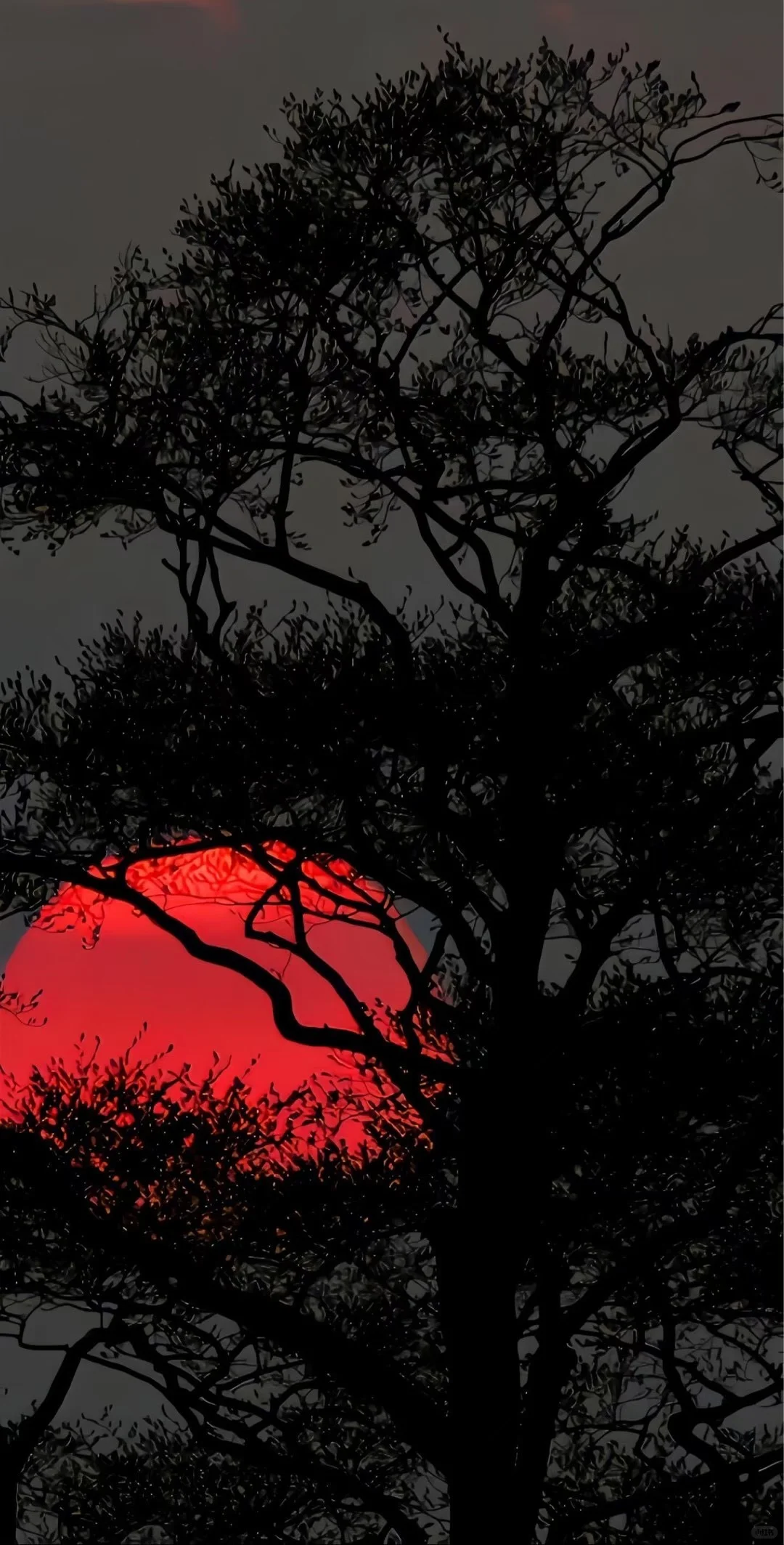 今日壁纸分享🌈ios26氛围感壁纸