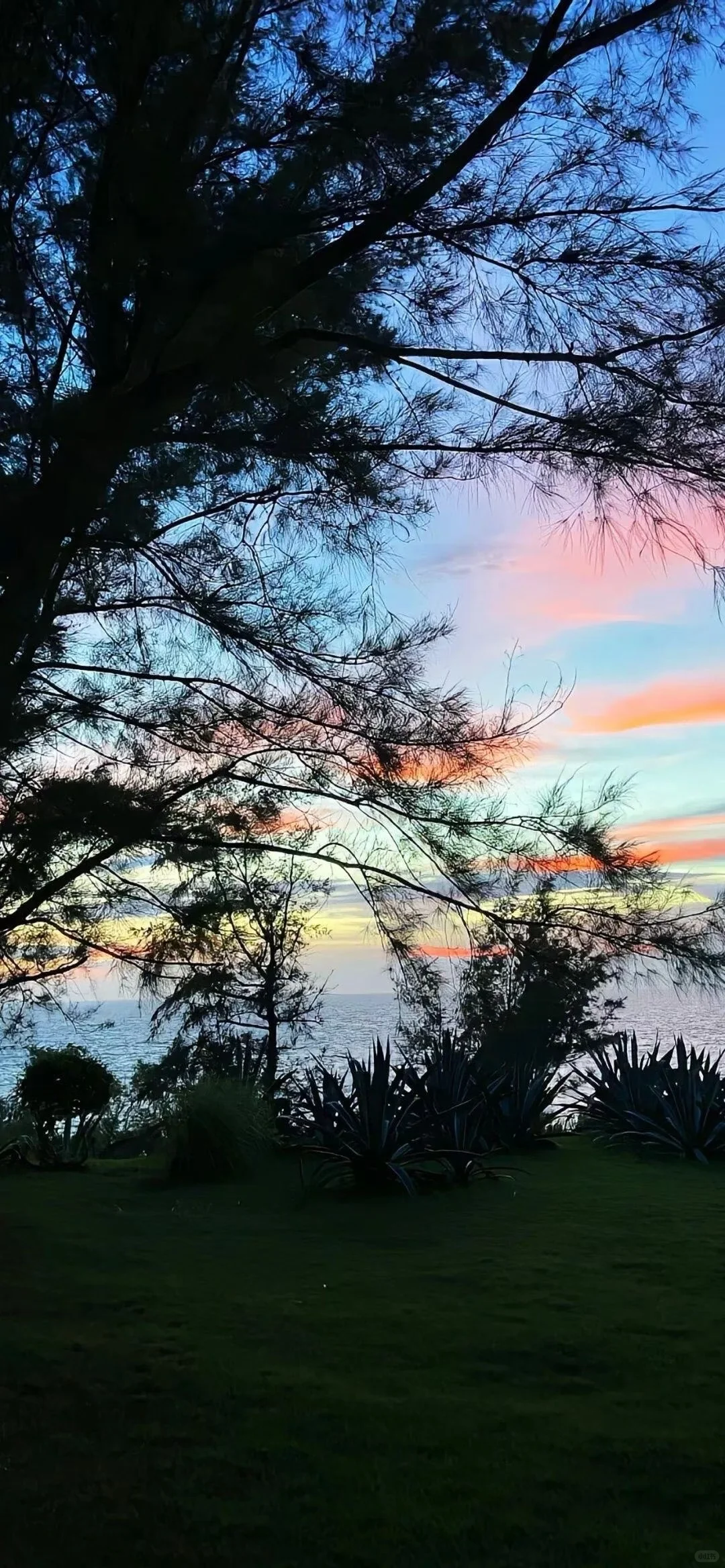 今日壁纸分享🌈ios26氛围感壁纸