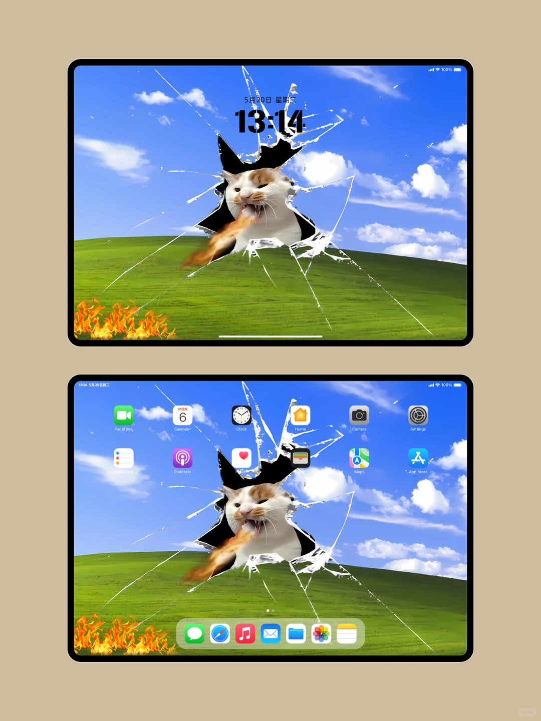 破屏暴躁猫｜电脑平板壁纸太疯