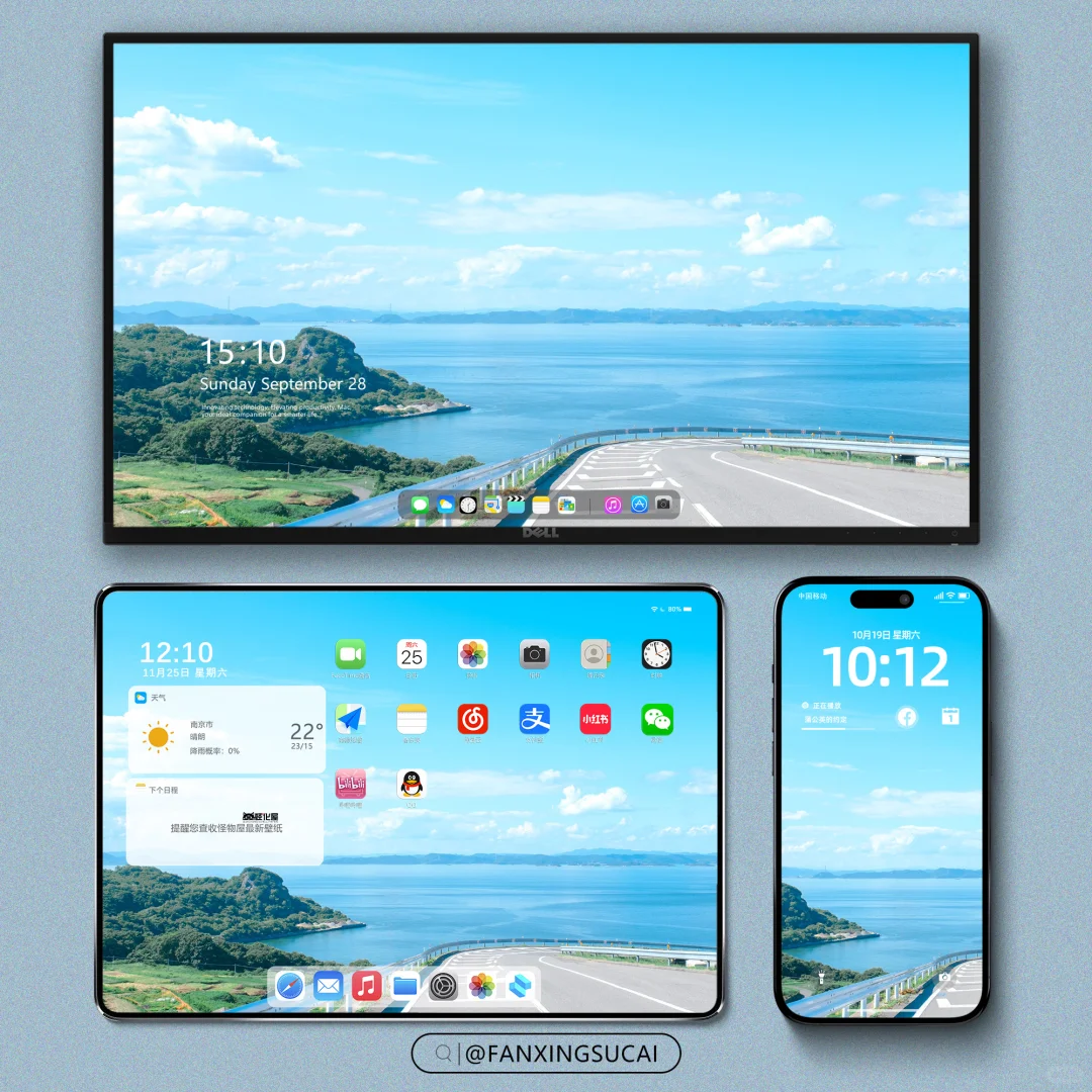 壁纸｜把树种在了桌面上🌳🌳🌳