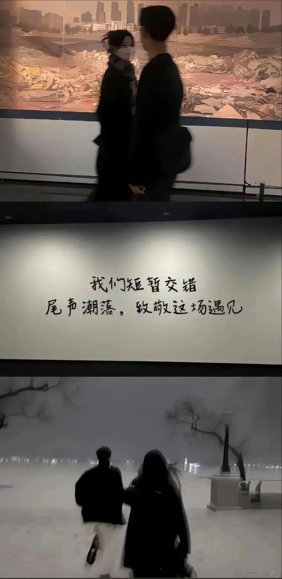 𝑺𝒉𝒂𝒓𝒆｜8K超清全屏壁纸