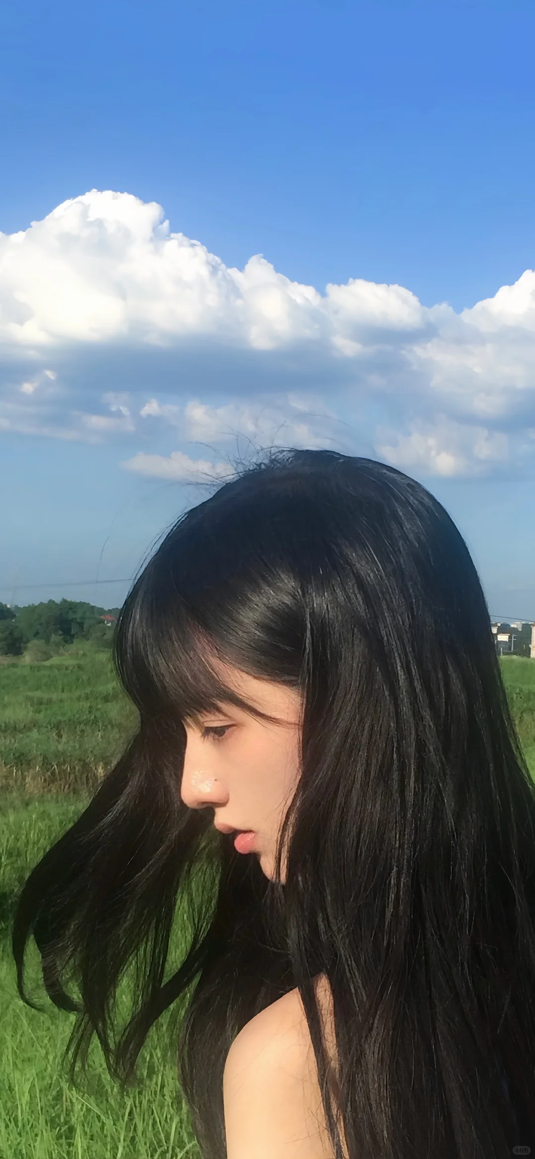 壁纸分享给你们