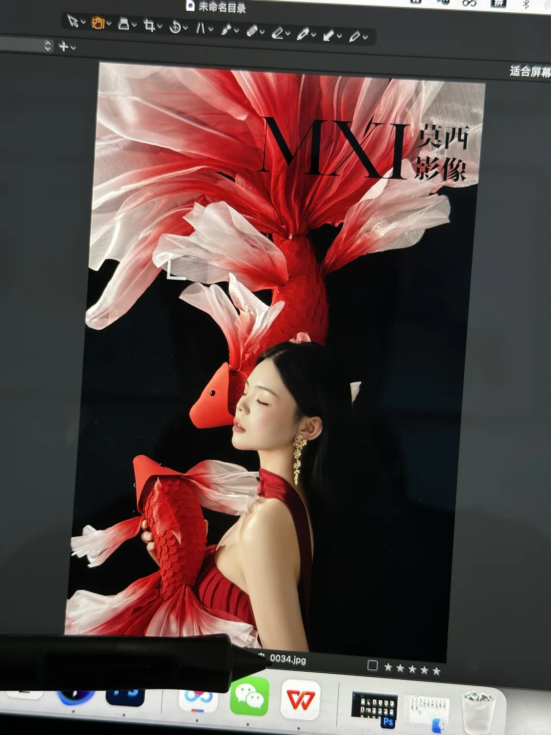 全网爆火的锦鲤