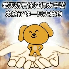 大笨狗表情包热门分享抽象斗图搞笑合集聊天