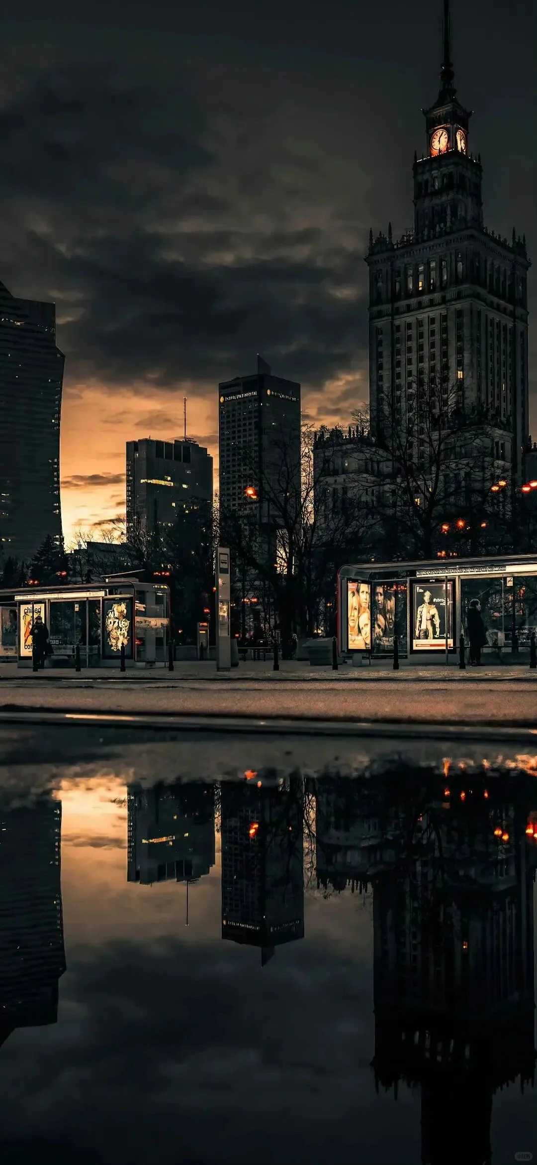 𝑺𝒉𝒂𝒓𝒆｜8K超清全屏壁纸