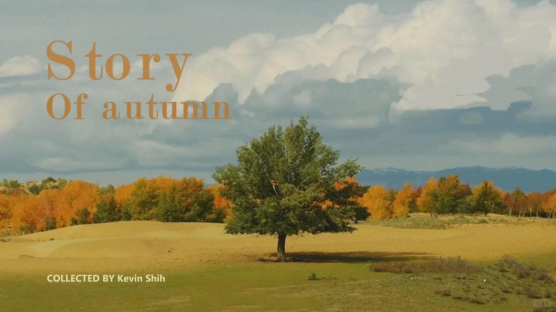 适合plog博主秋冬ins风壁纸～请自取🤌