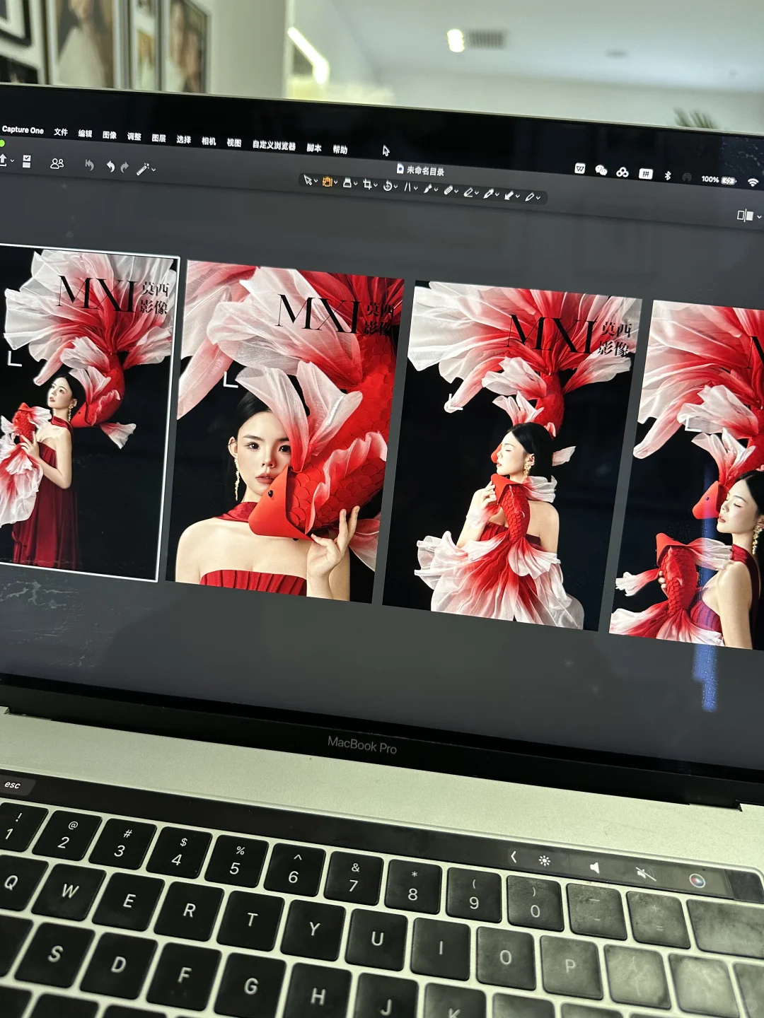 全网爆火的锦鲤