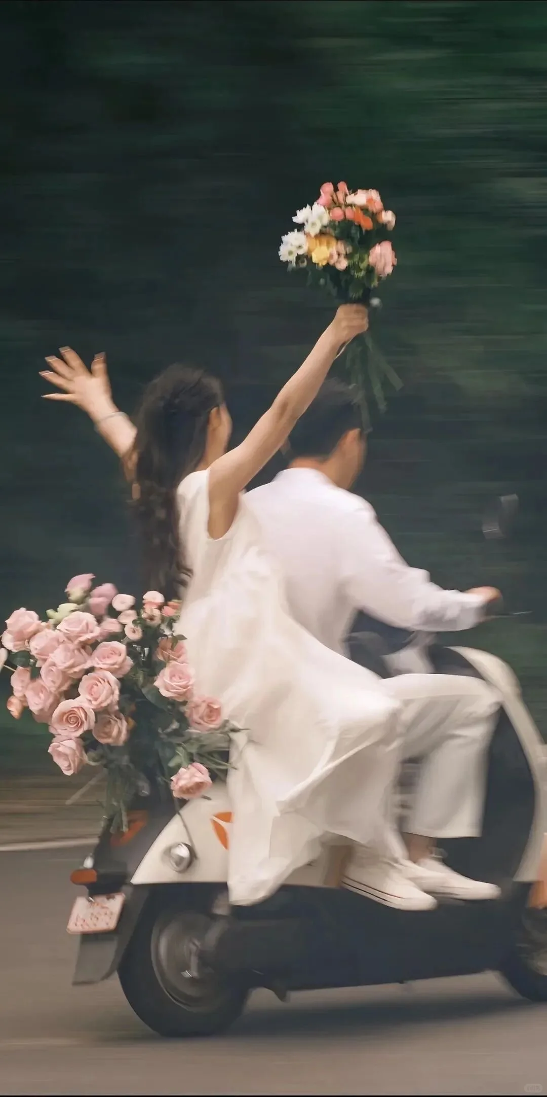 𝑺𝒉𝒂𝒓𝒆｜8K超清全屏壁纸