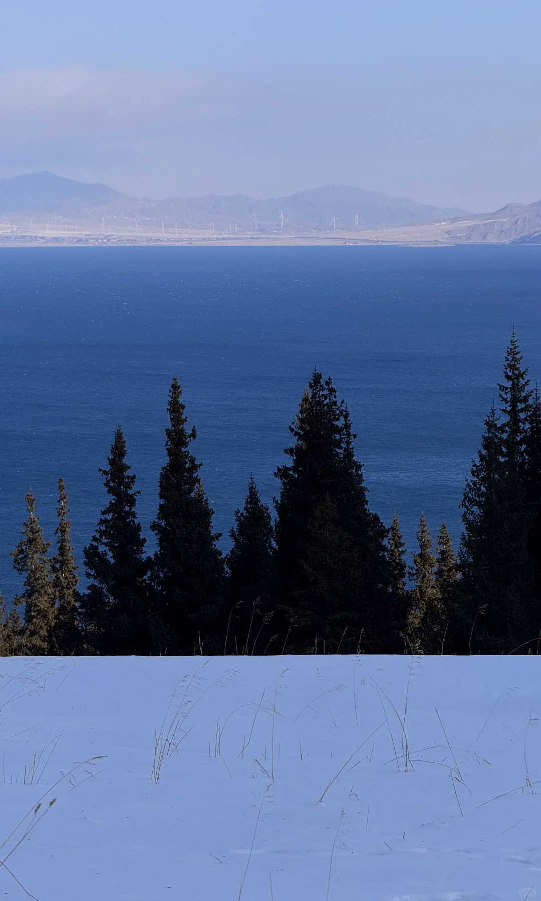 全屏live❄️live in winter