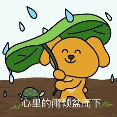 大笨狗表情包热门分享抽象斗图搞笑合集聊天