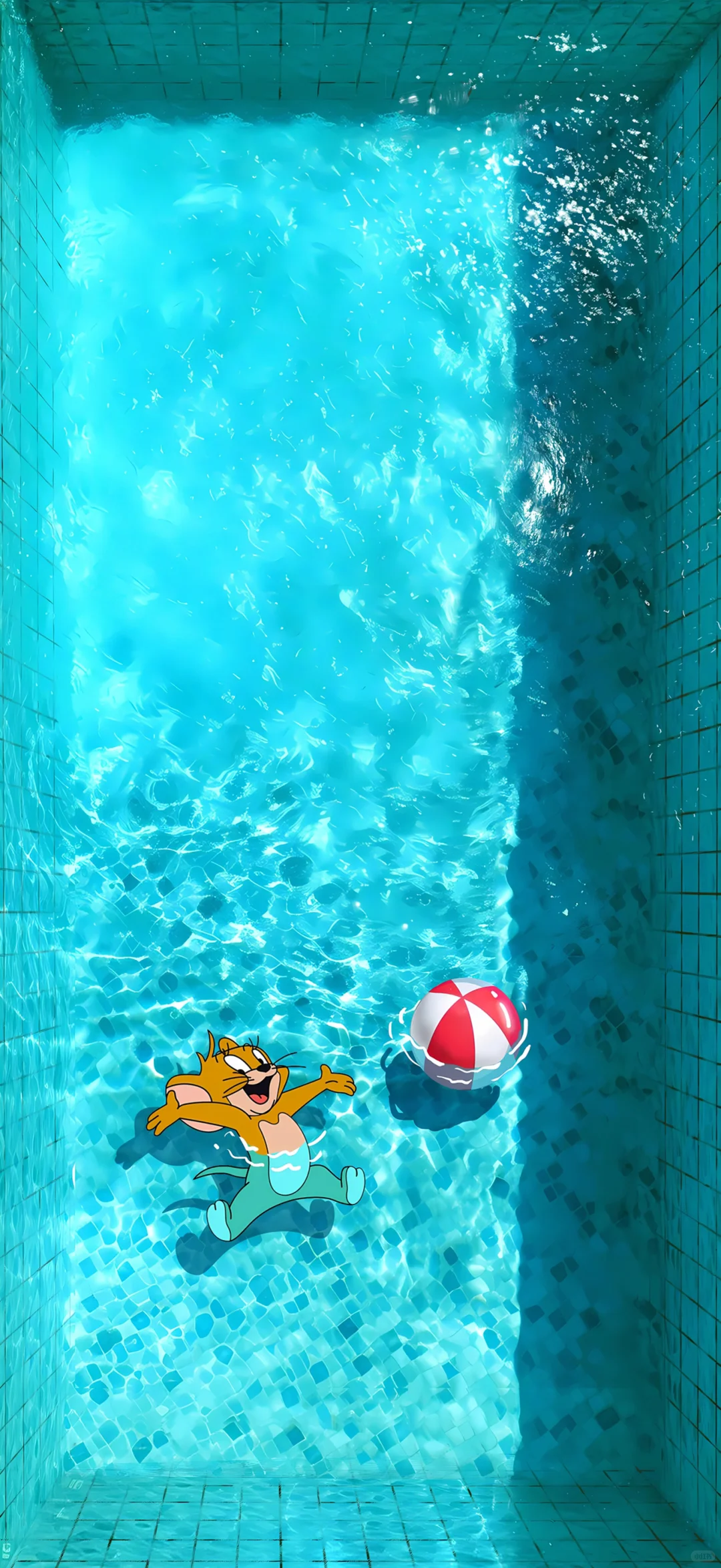 水池里的Tom and Jerry