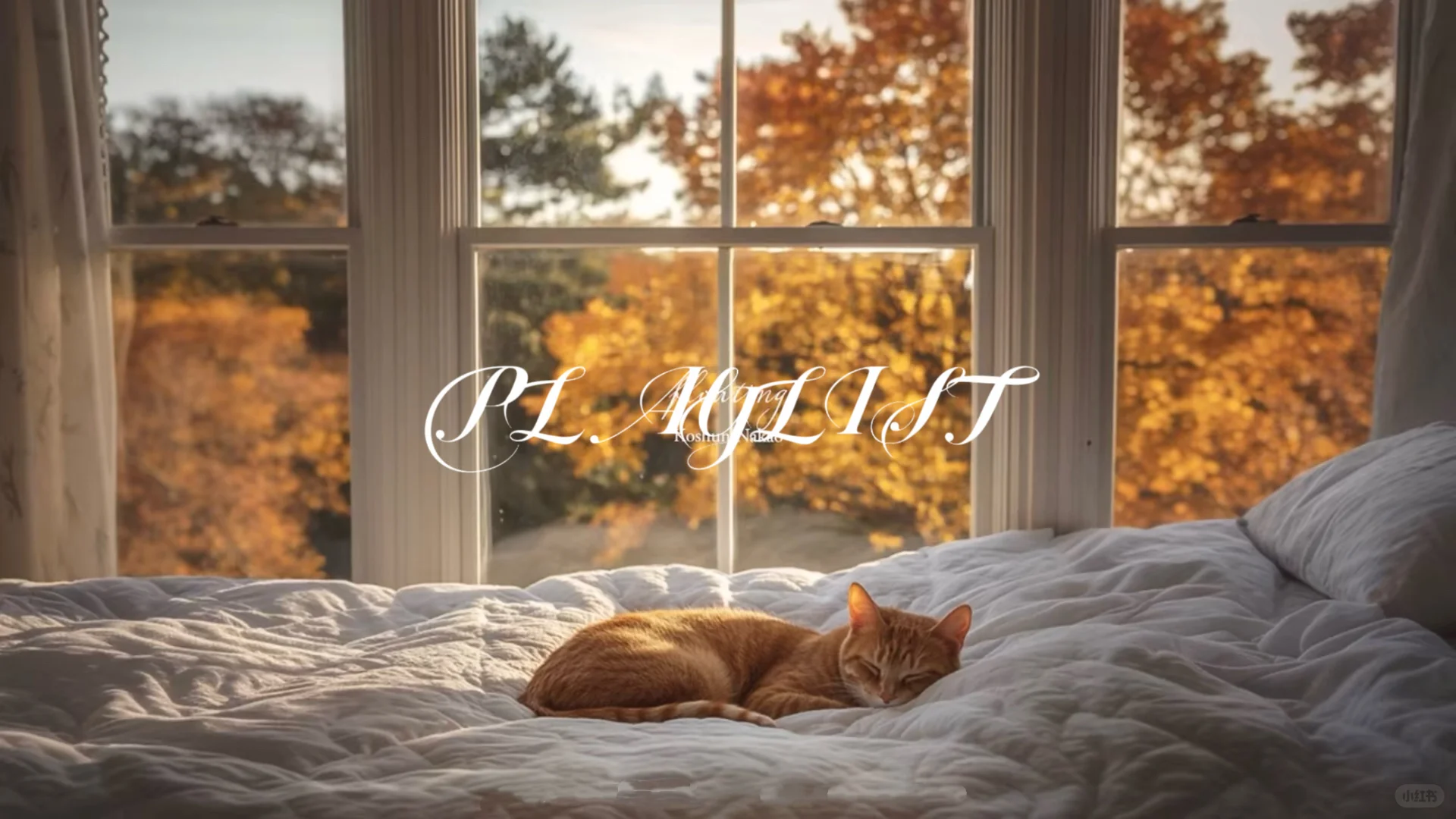 适合plog博主秋冬ins风壁纸～请自取🤌