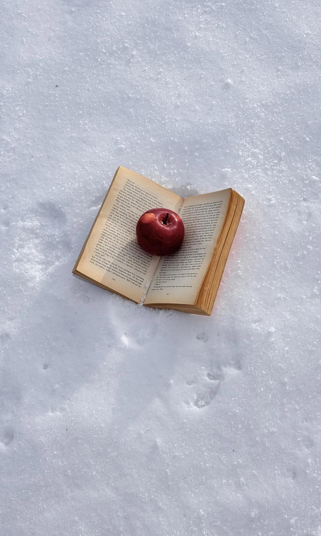 全屏live❄️live in winter