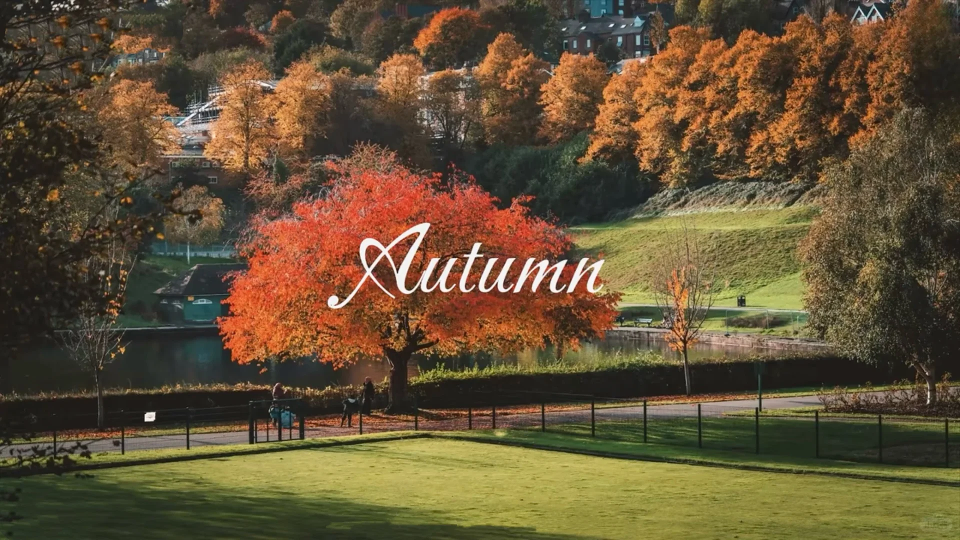 适合plog博主秋冬ins风壁纸～请自取🤌